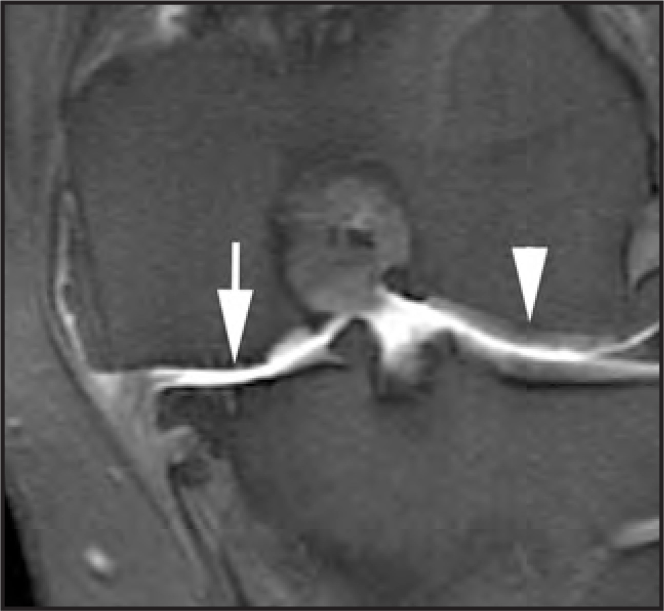 FIGURE 20.