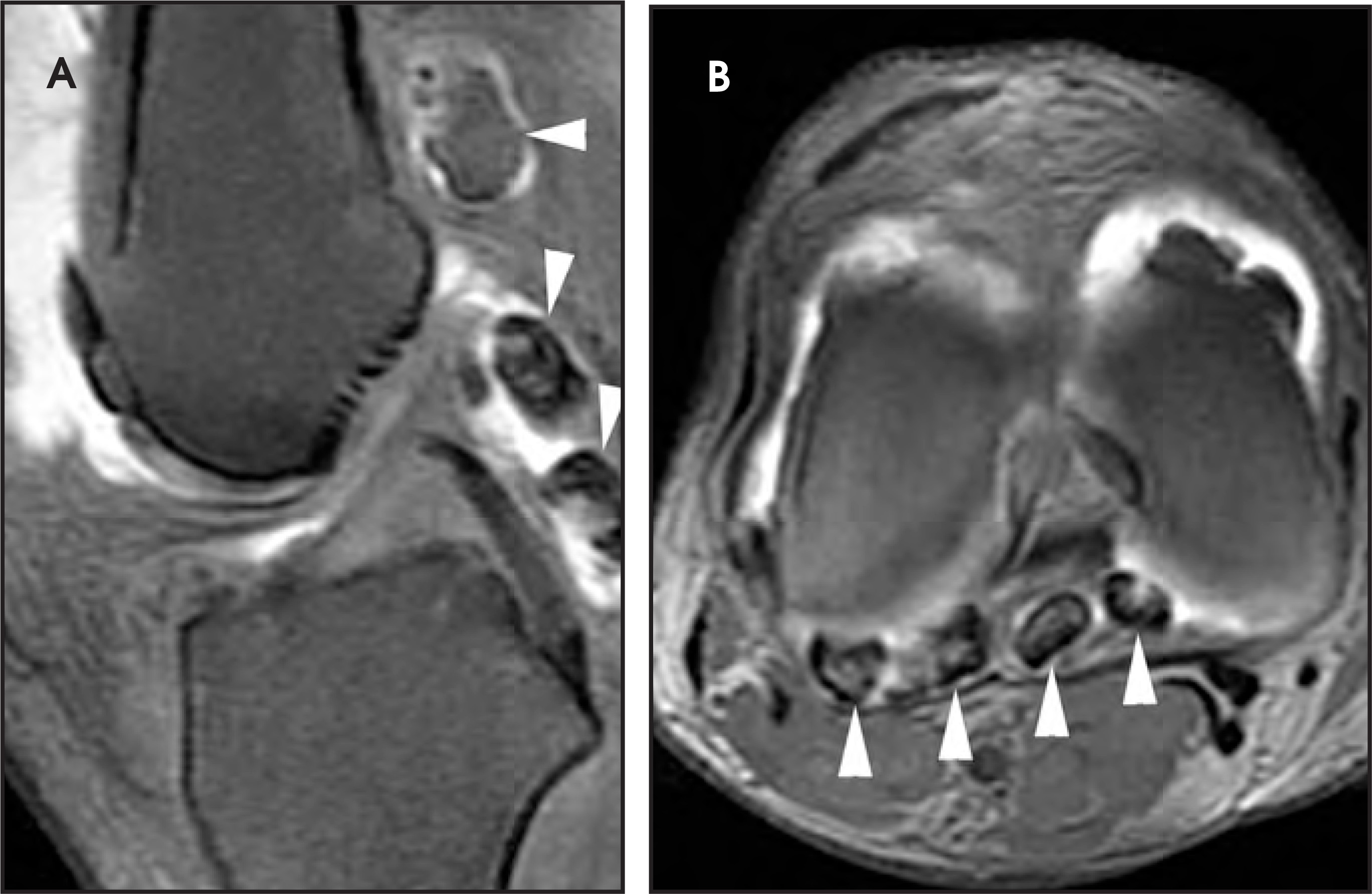 FIGURE 21.