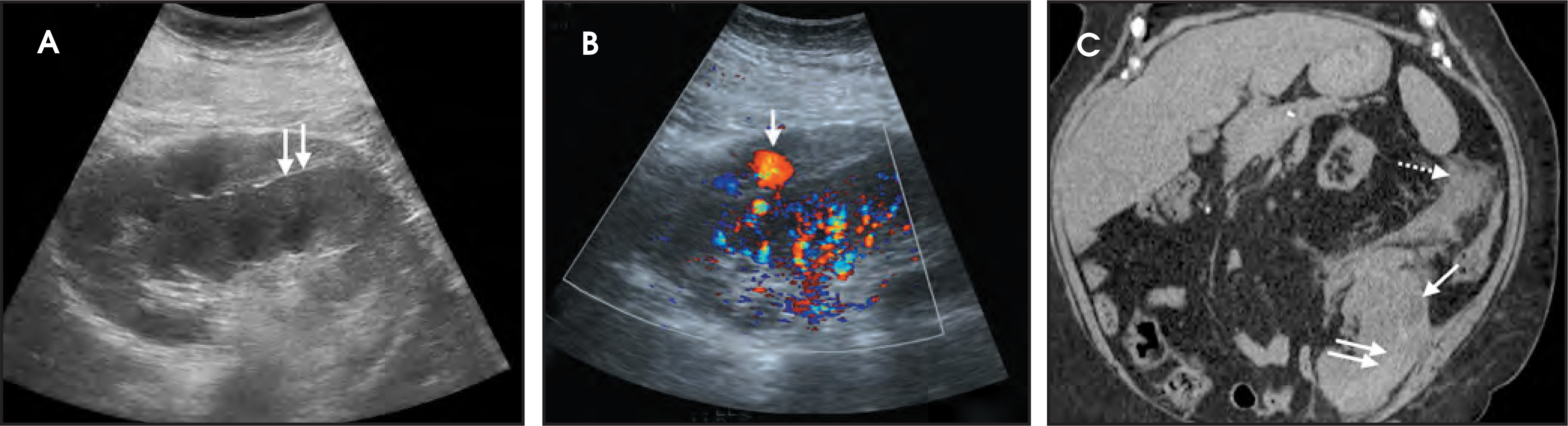 FIGURE 3.