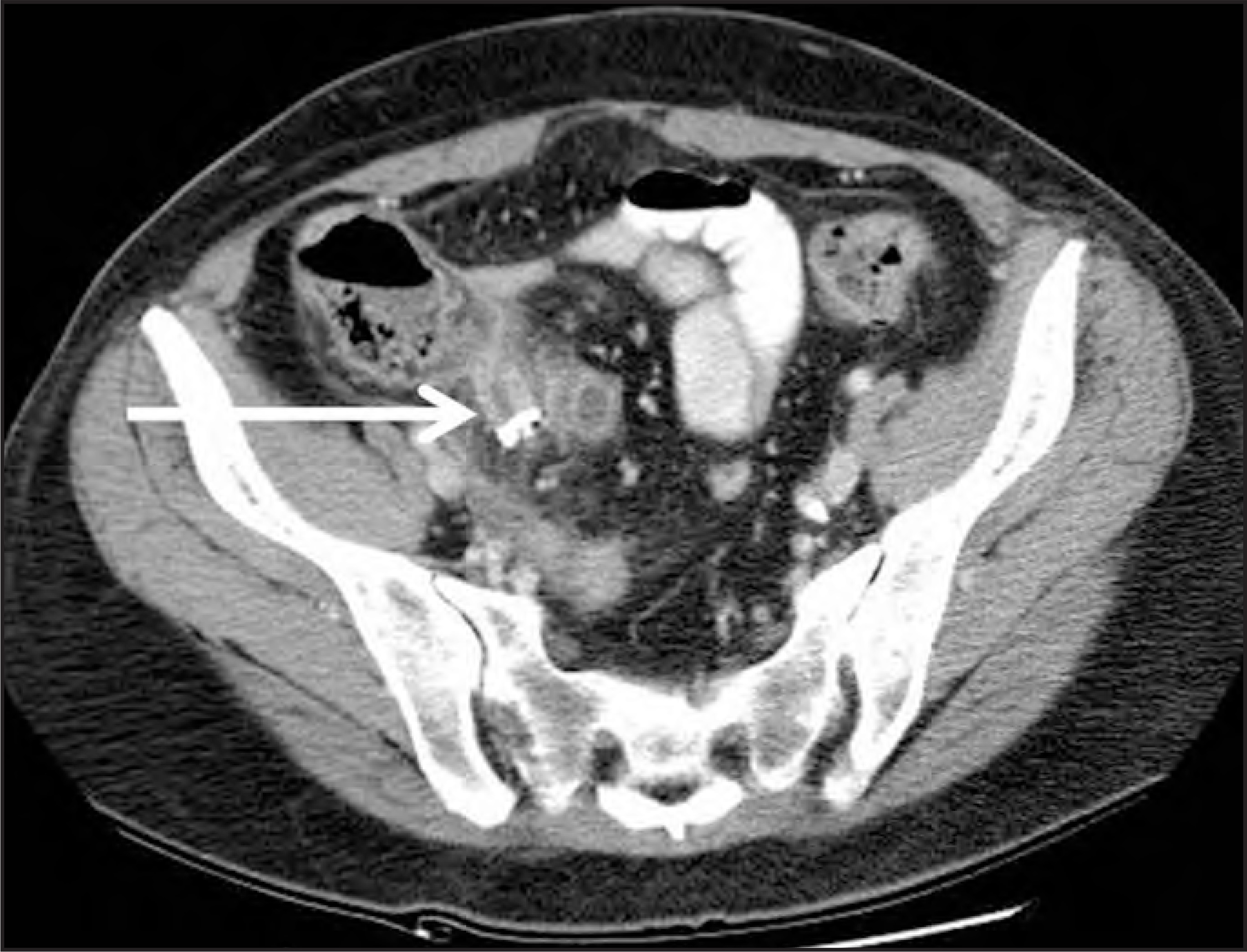 FIGURE 1.