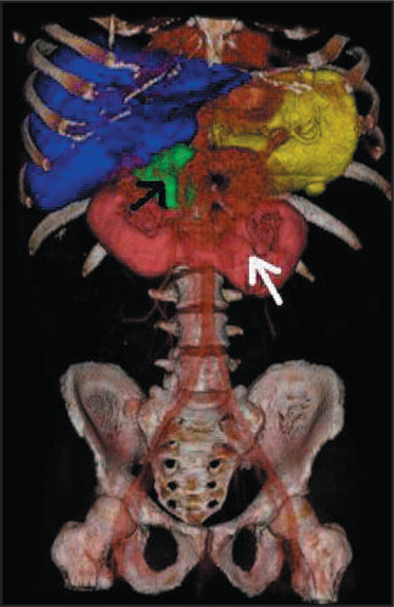 FIGURE 1.