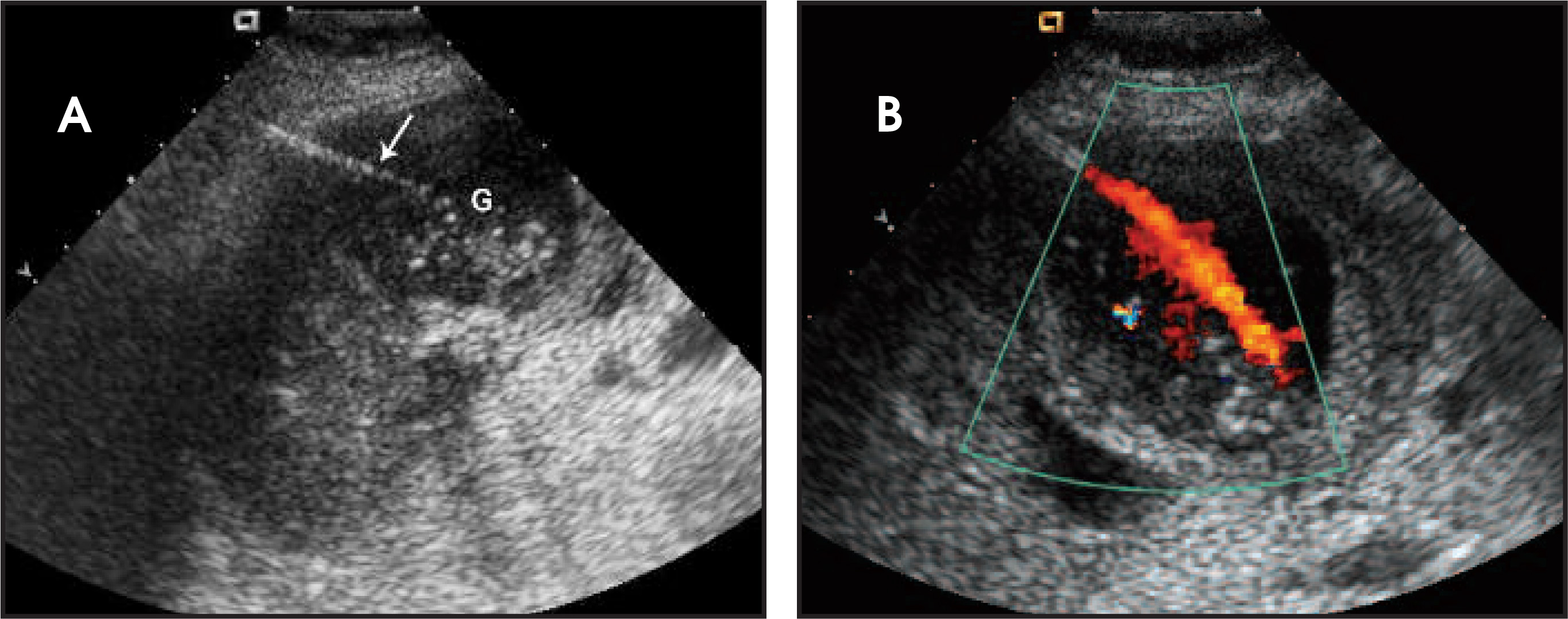 FIGURE 7.
