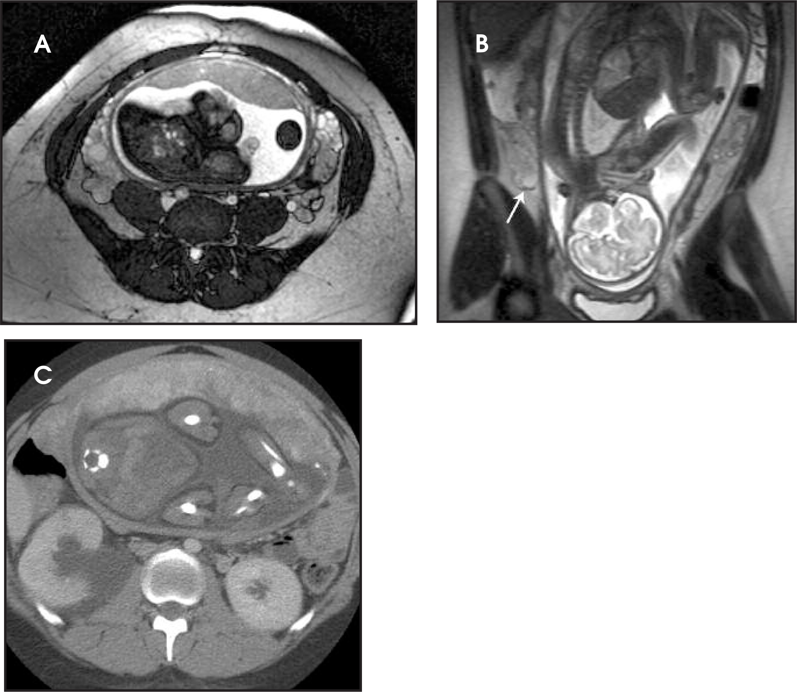 FIGURE 10.