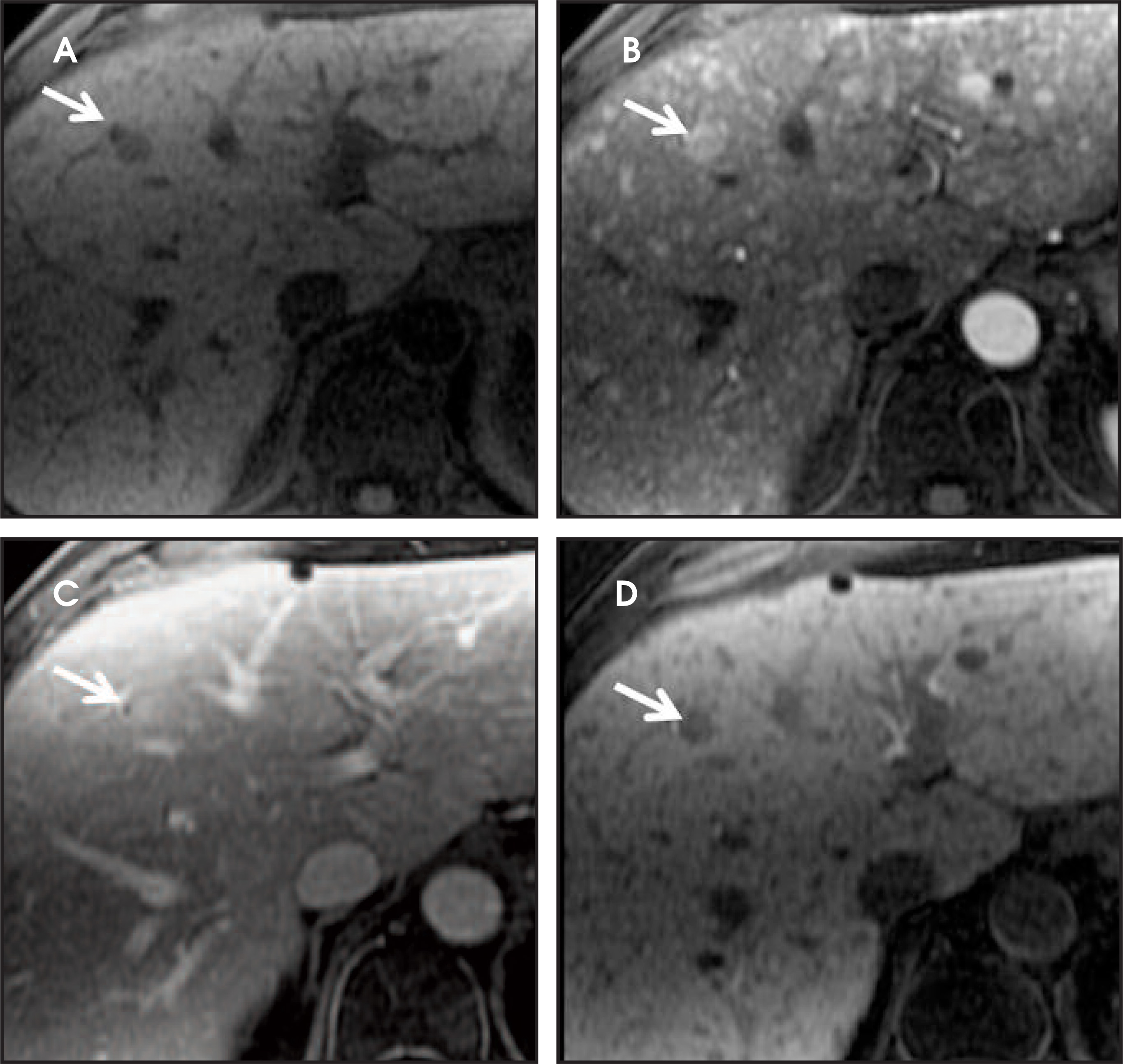 FIGURE 13.