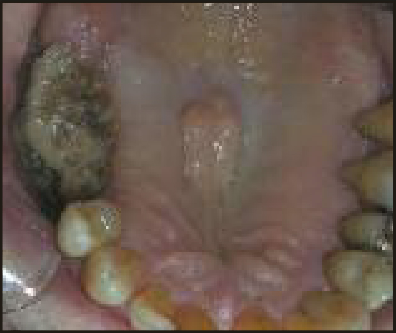 FIGURE 1.
