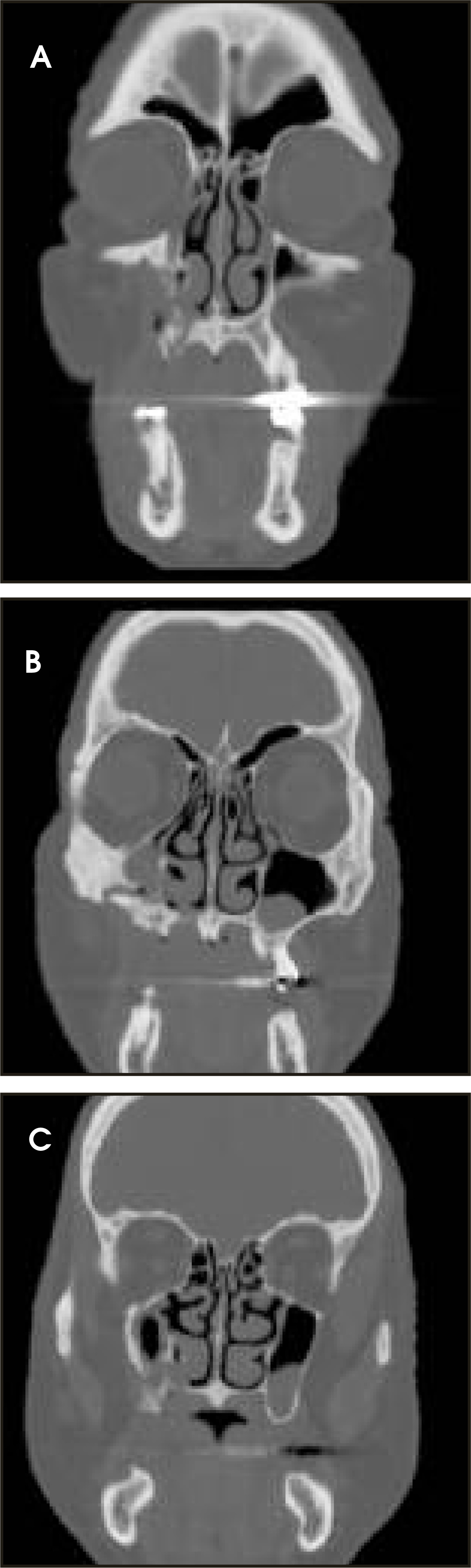 FIGURE 3.