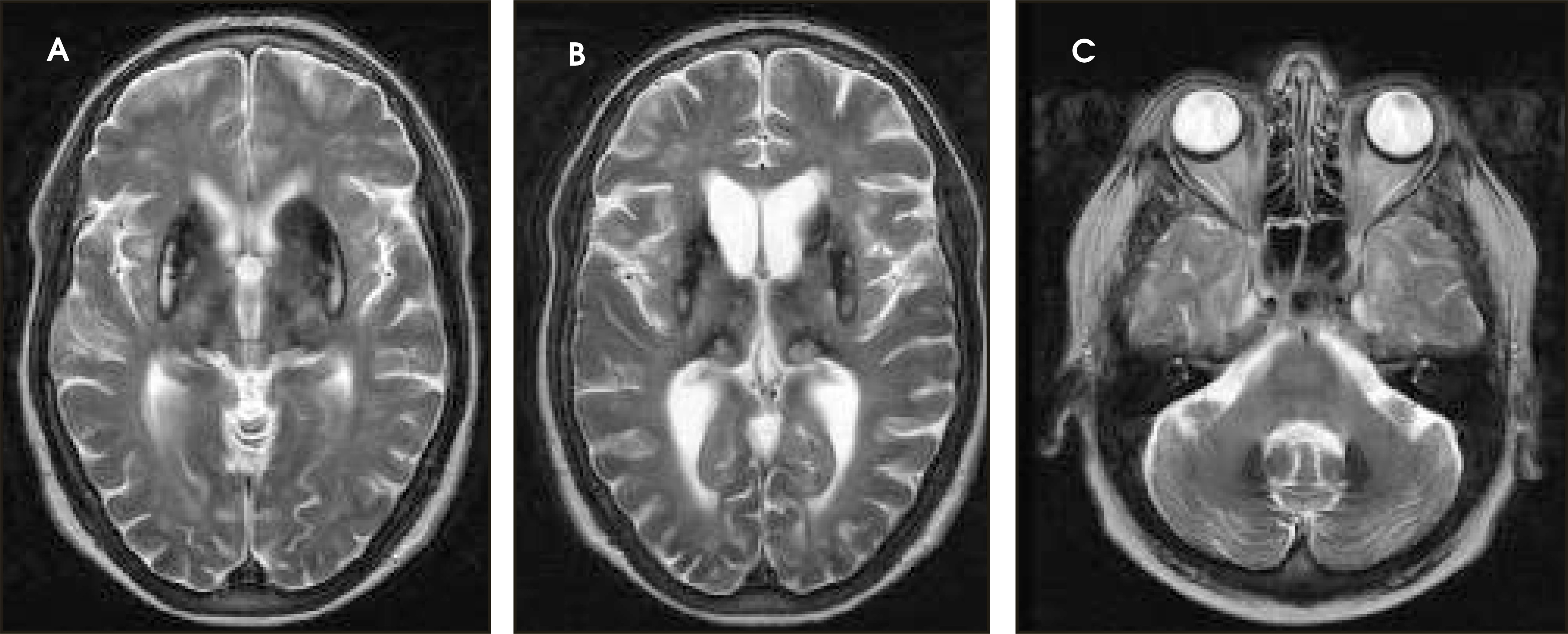 FIGURE 1.