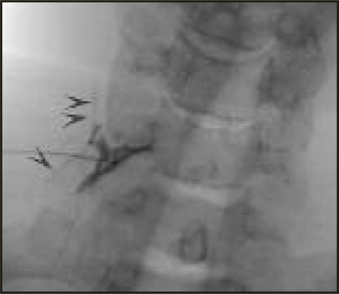FIGURE 1.