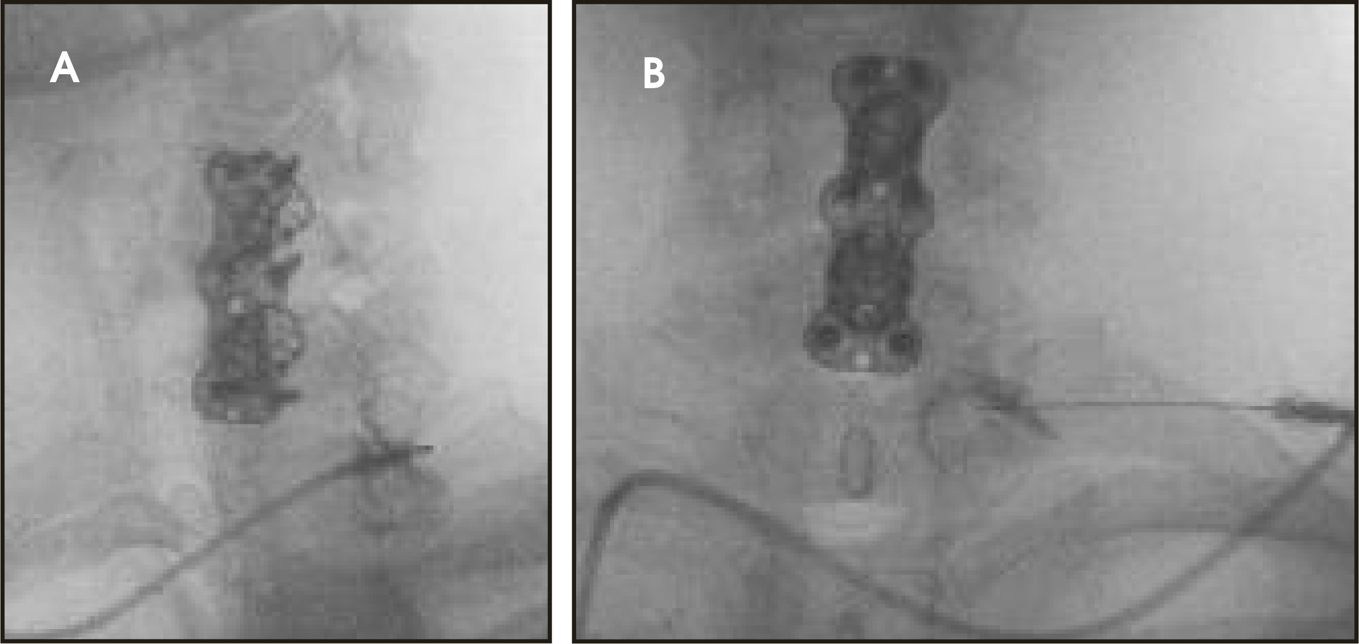 FIGURE 13.