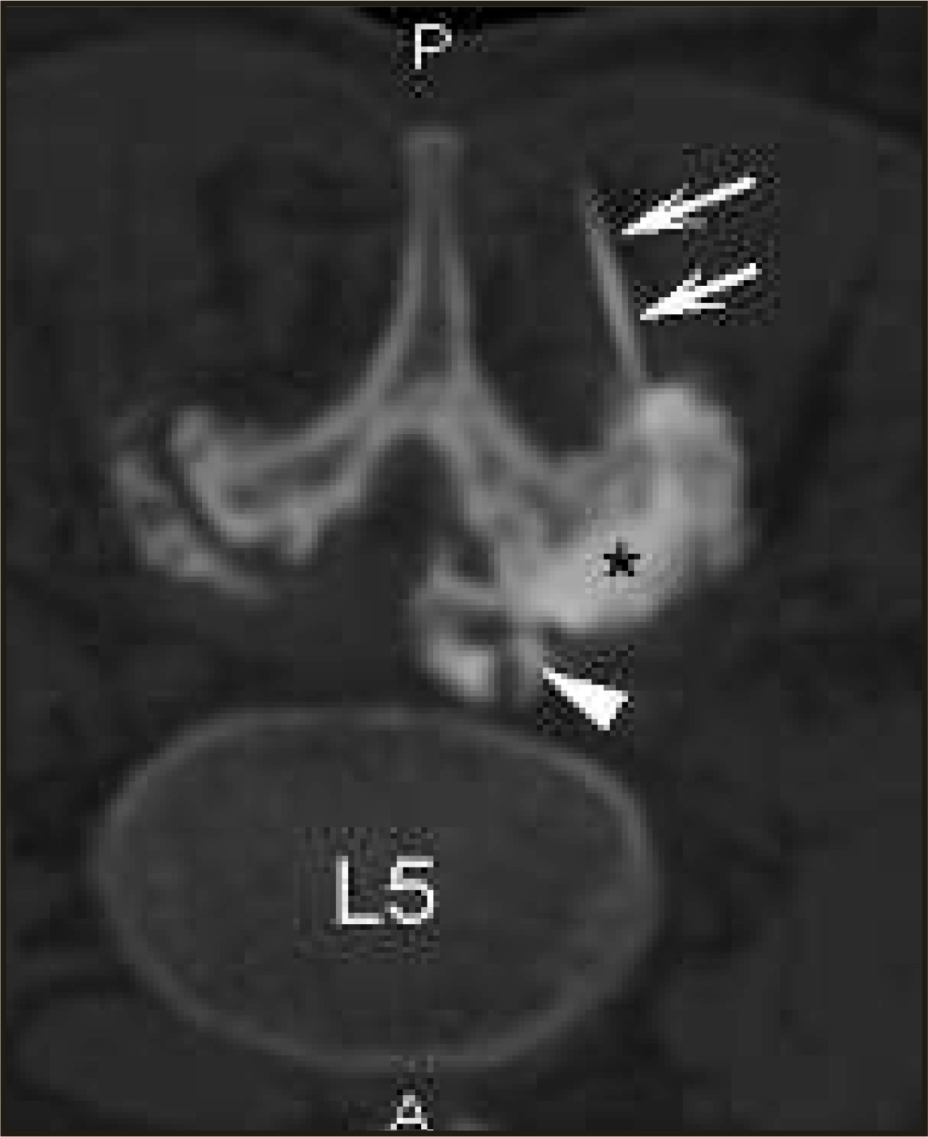 FIGURE 15.