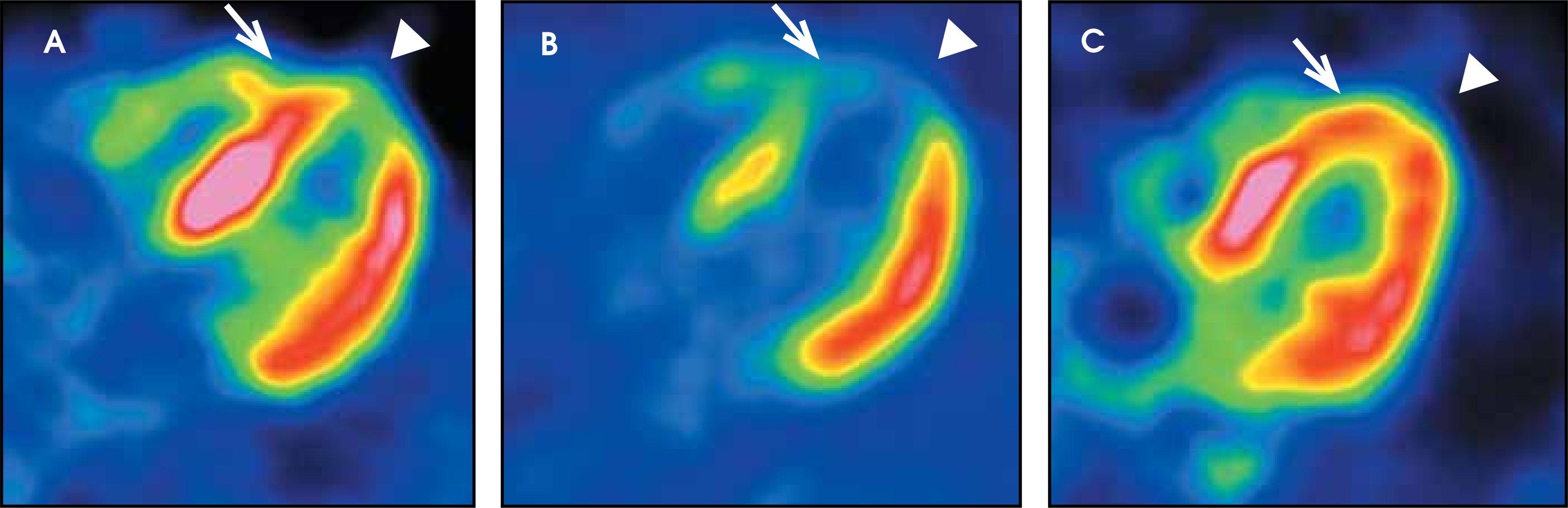 FIGURE 7.