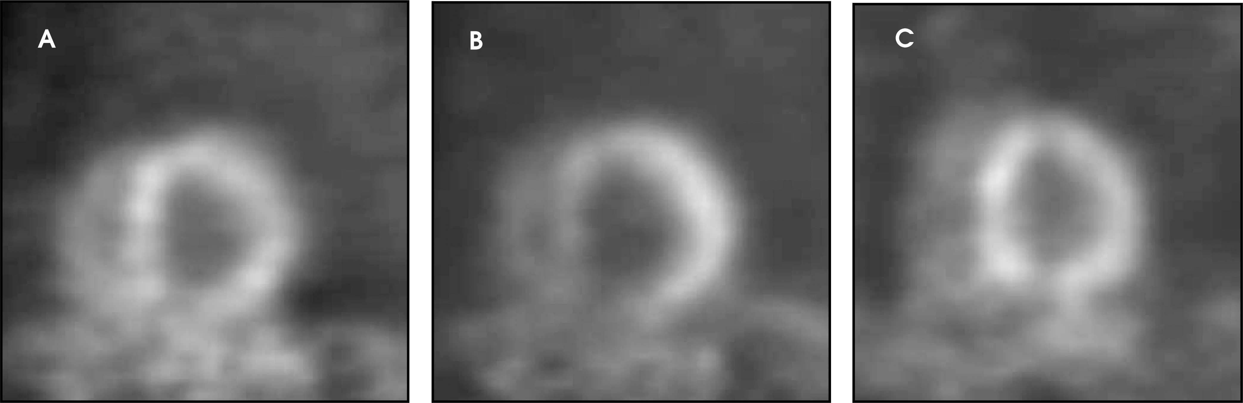 FIGURE 9.