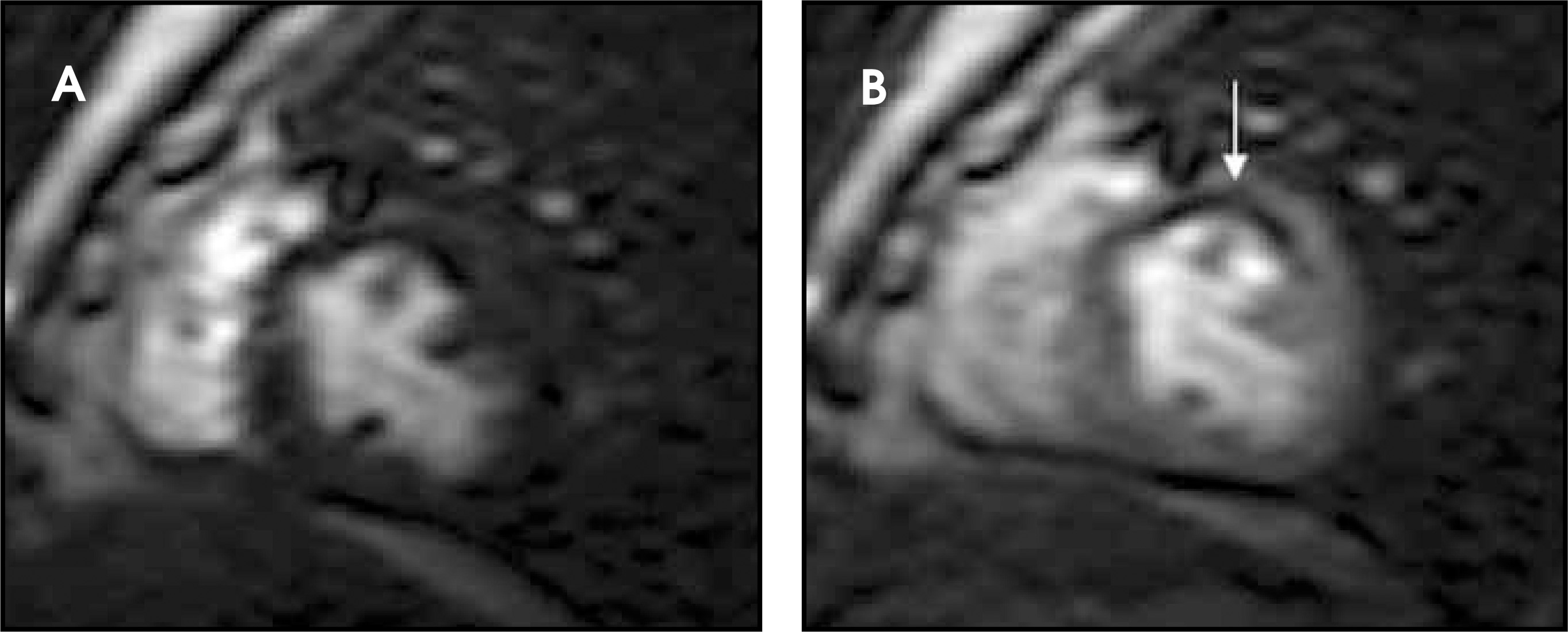 FIGURE 12.