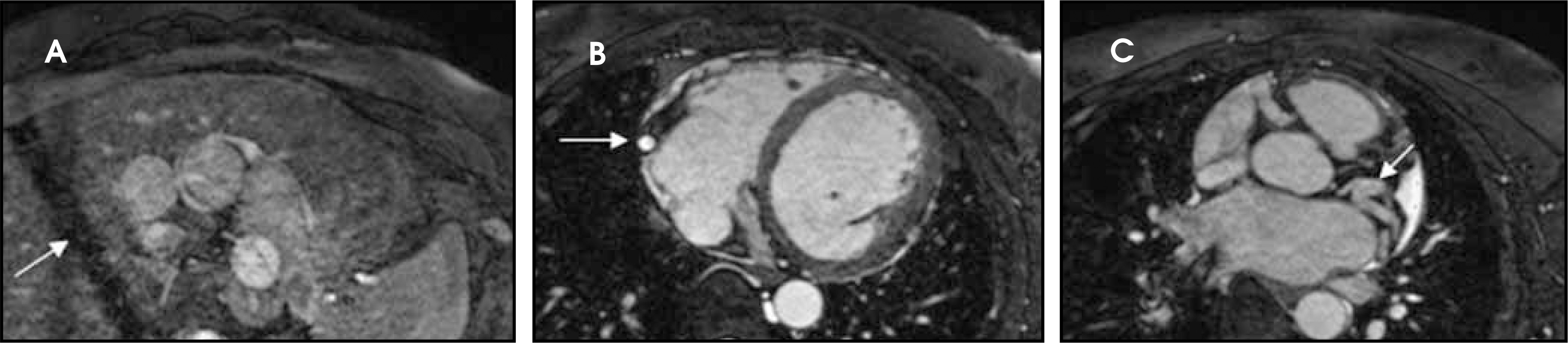 FIGURE 15.