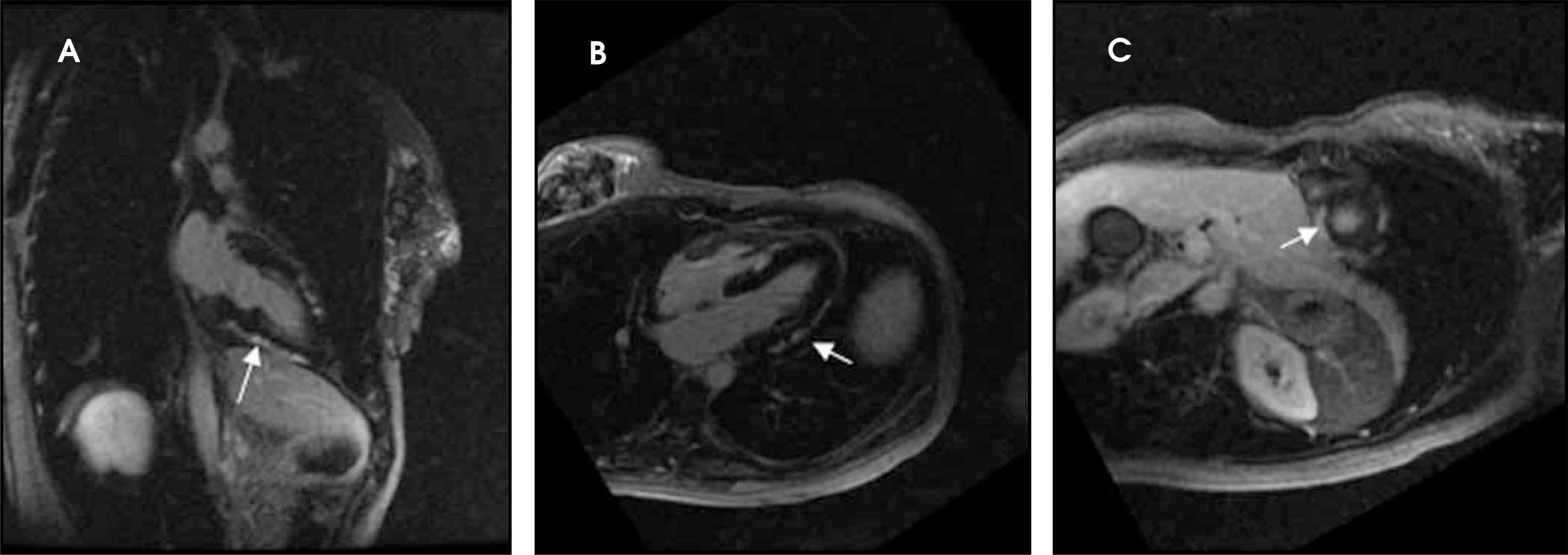 FIGURE 17.
