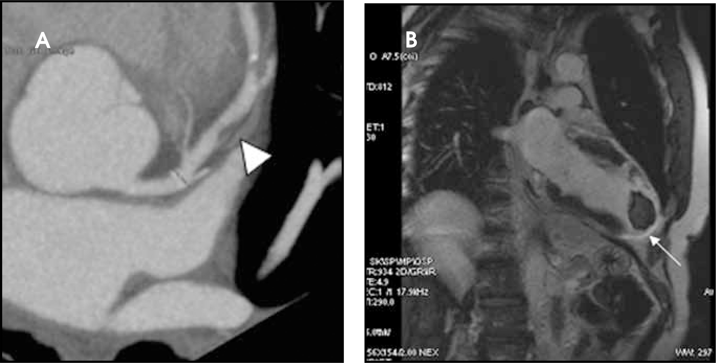 FIGURE 18.