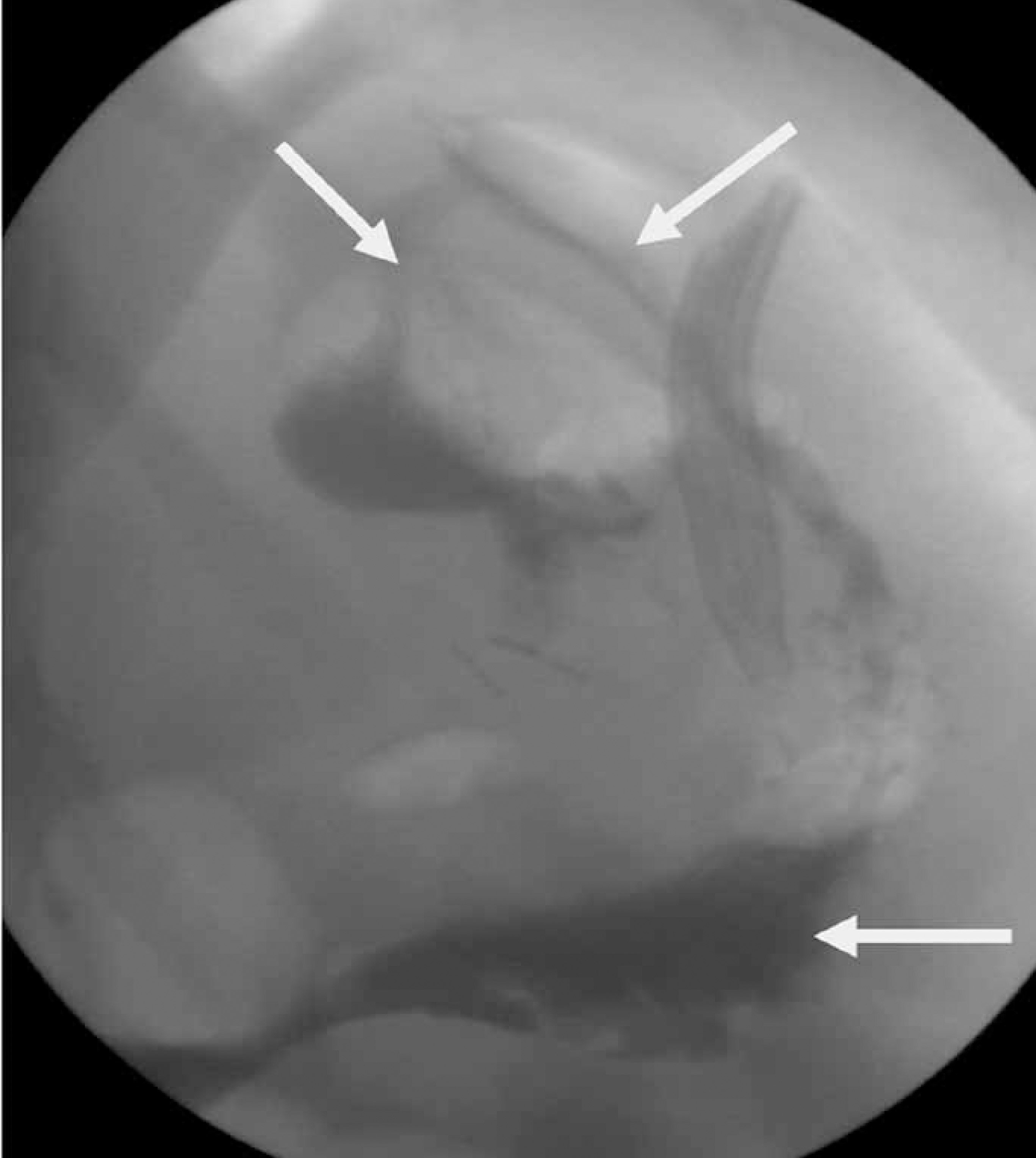 FIGURE 7.