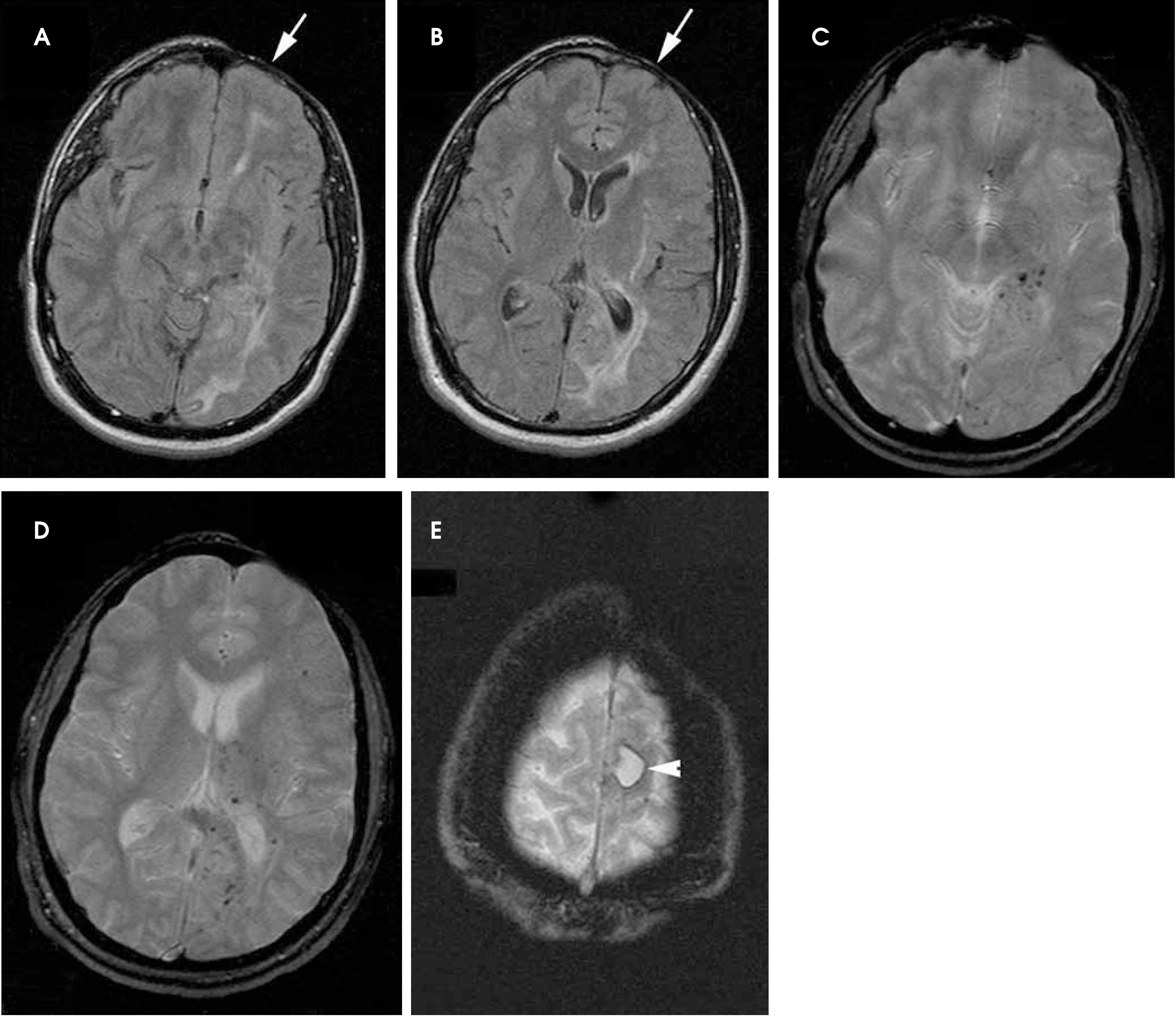 FIGURE 1.