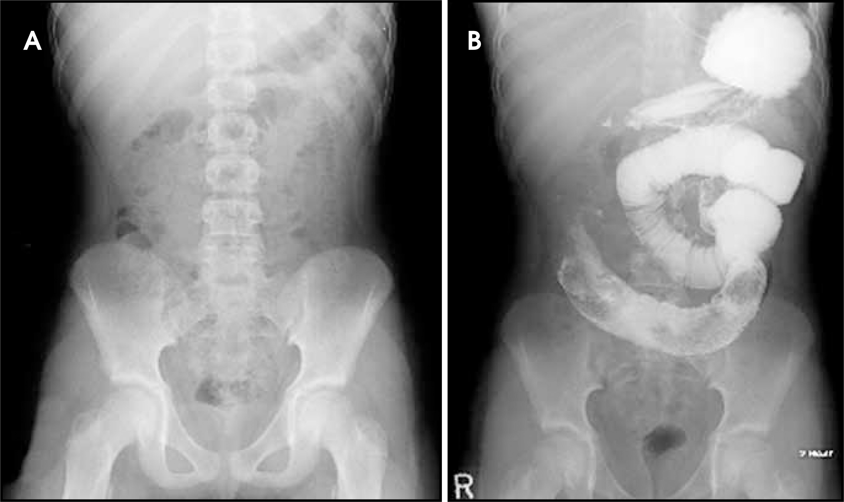 FIGURE 1.