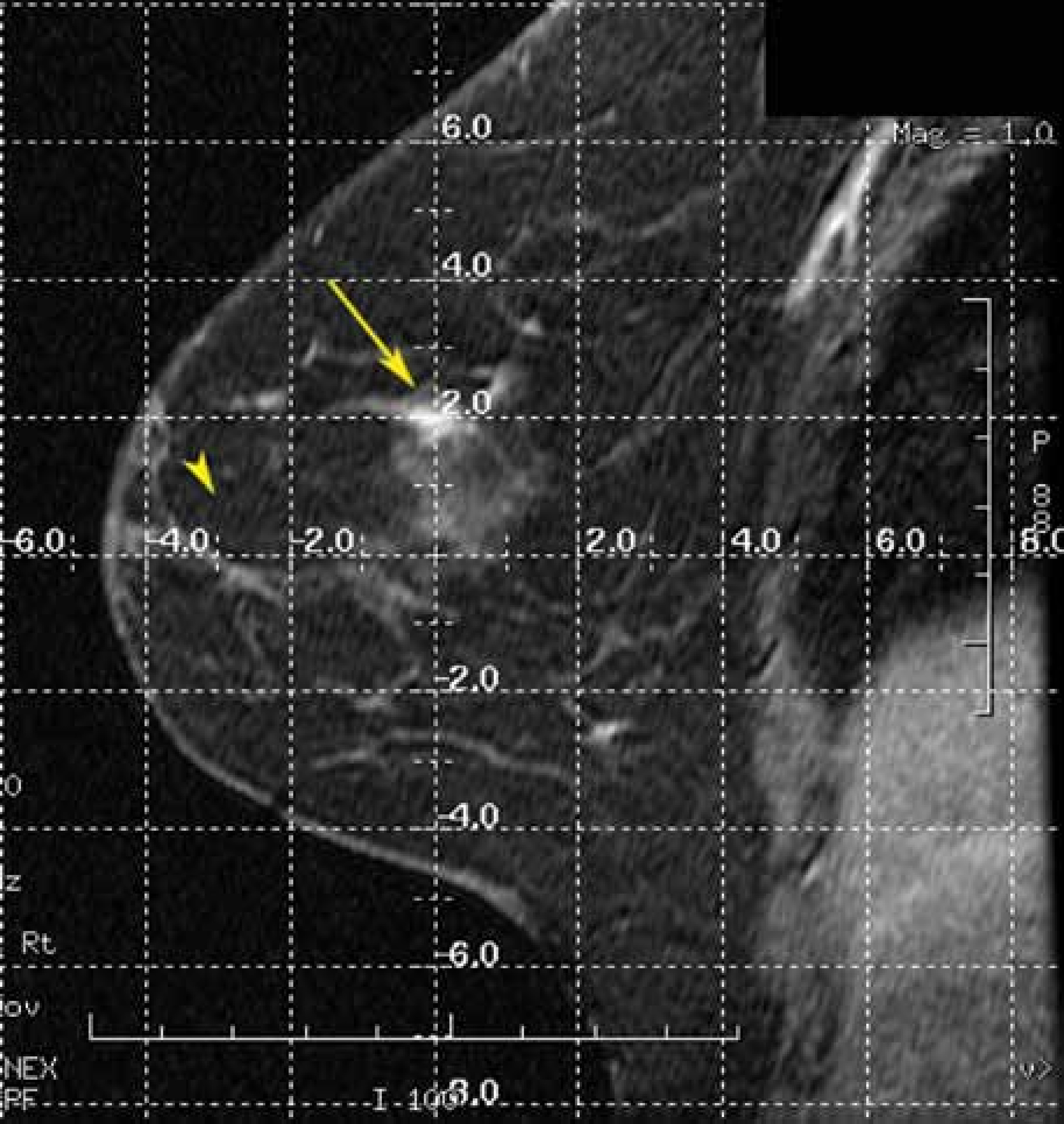 FIGURE 8.