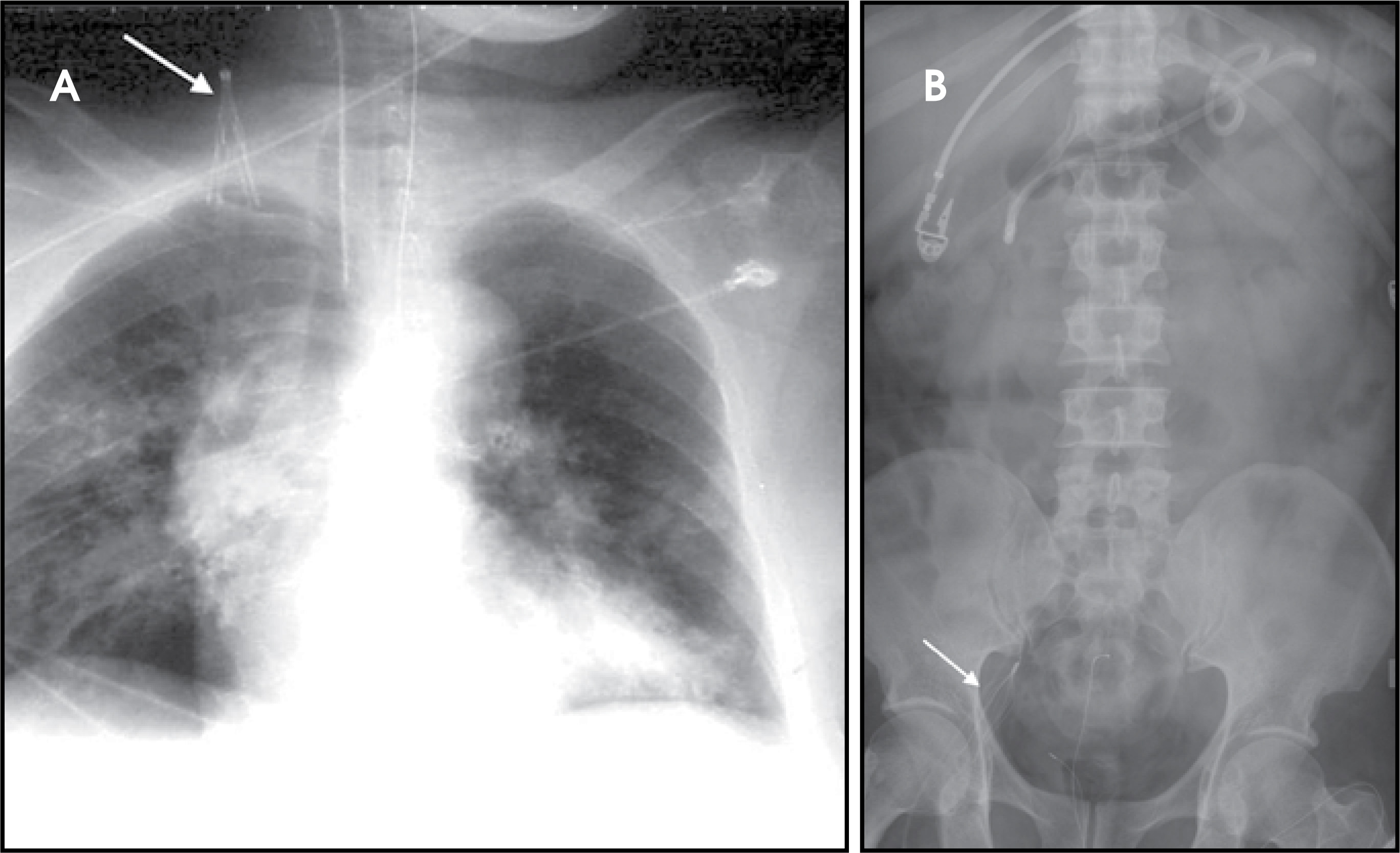 FIGURE 1.