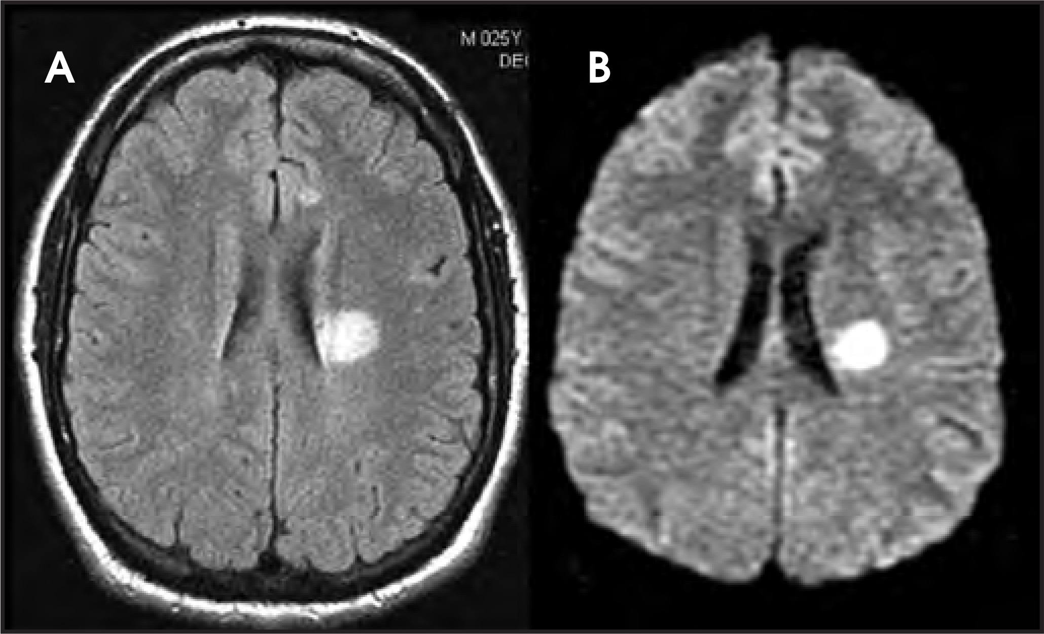 FIGURE 1.