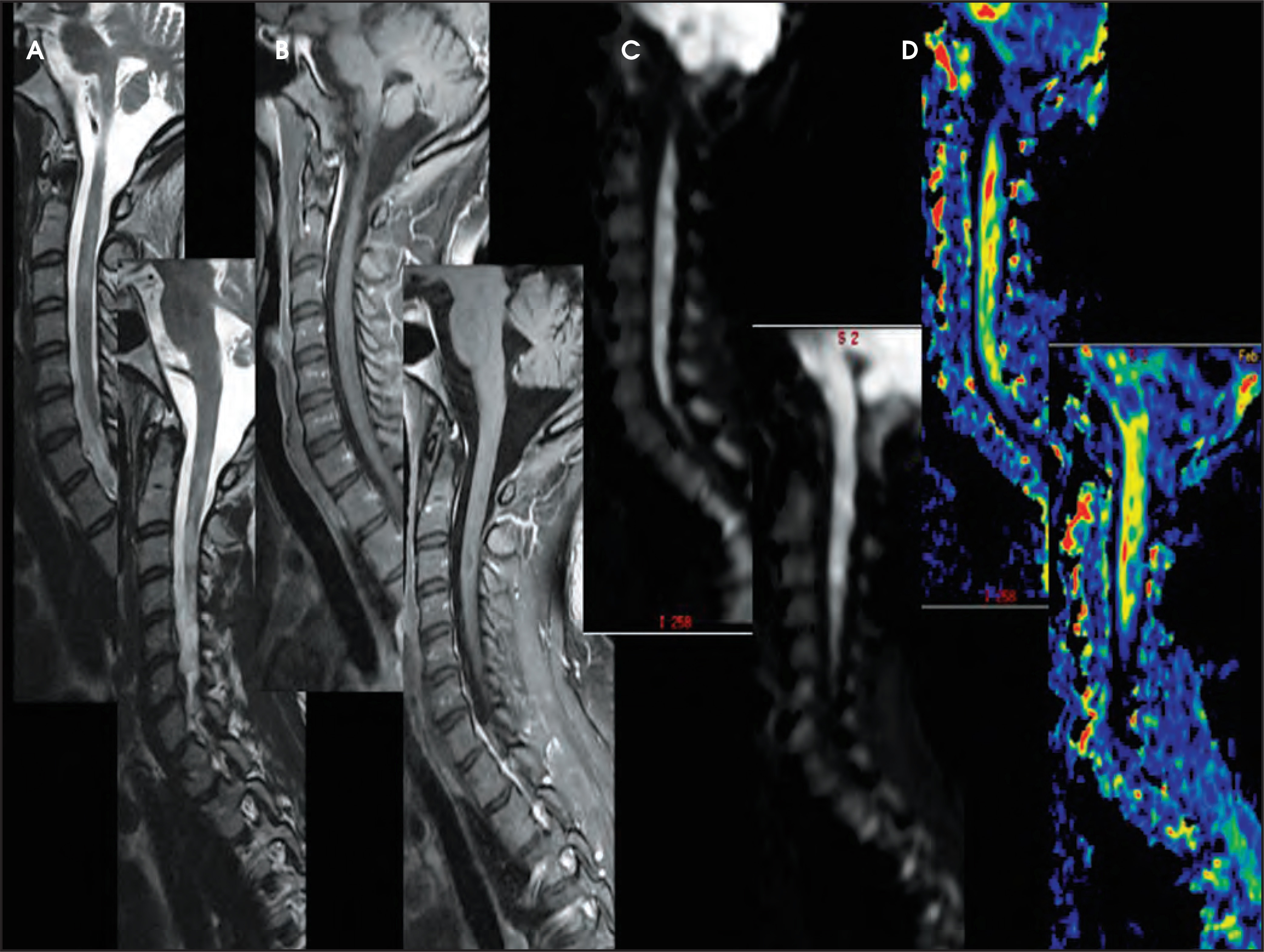 FIGURE 10.