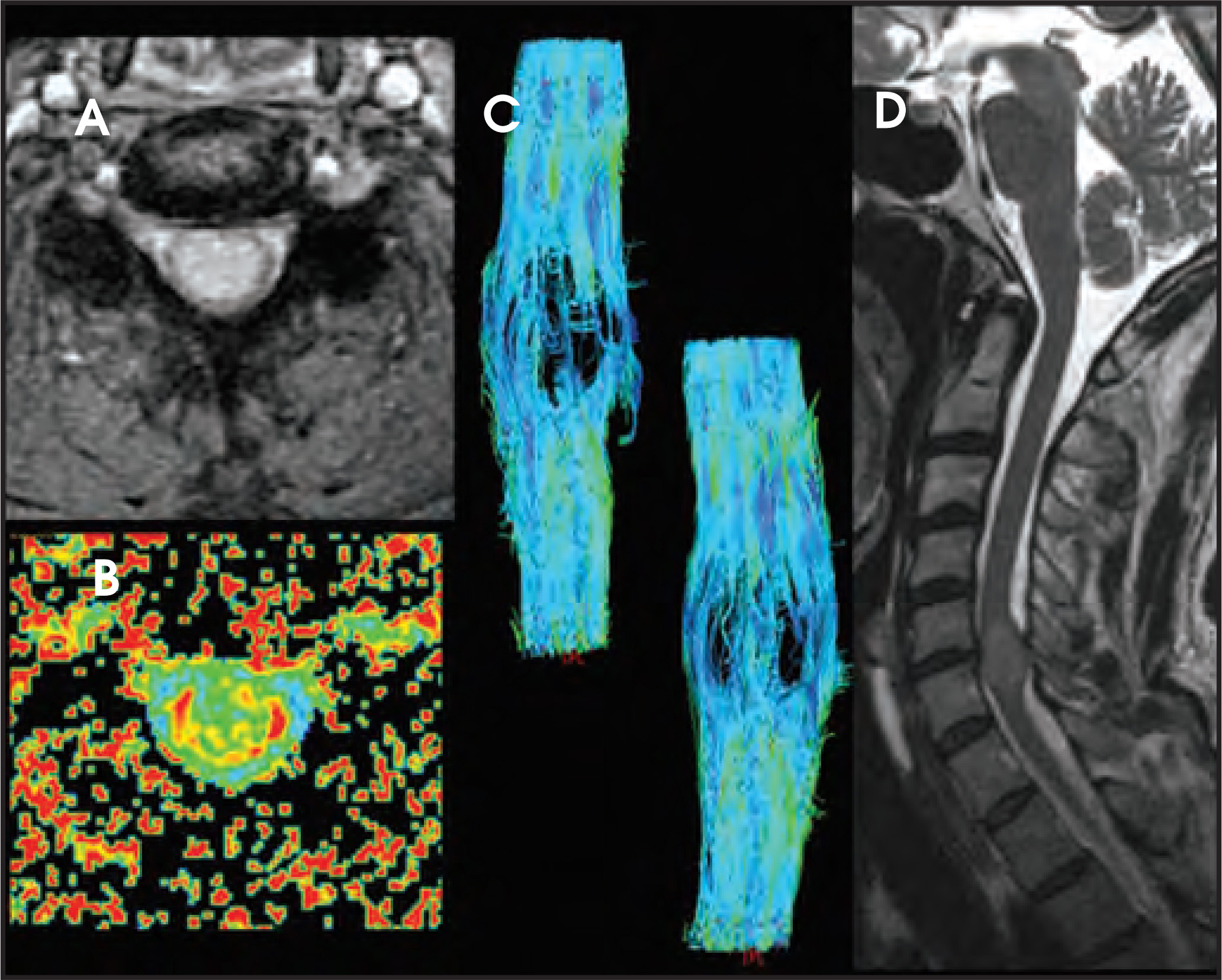 FIGURE 12.