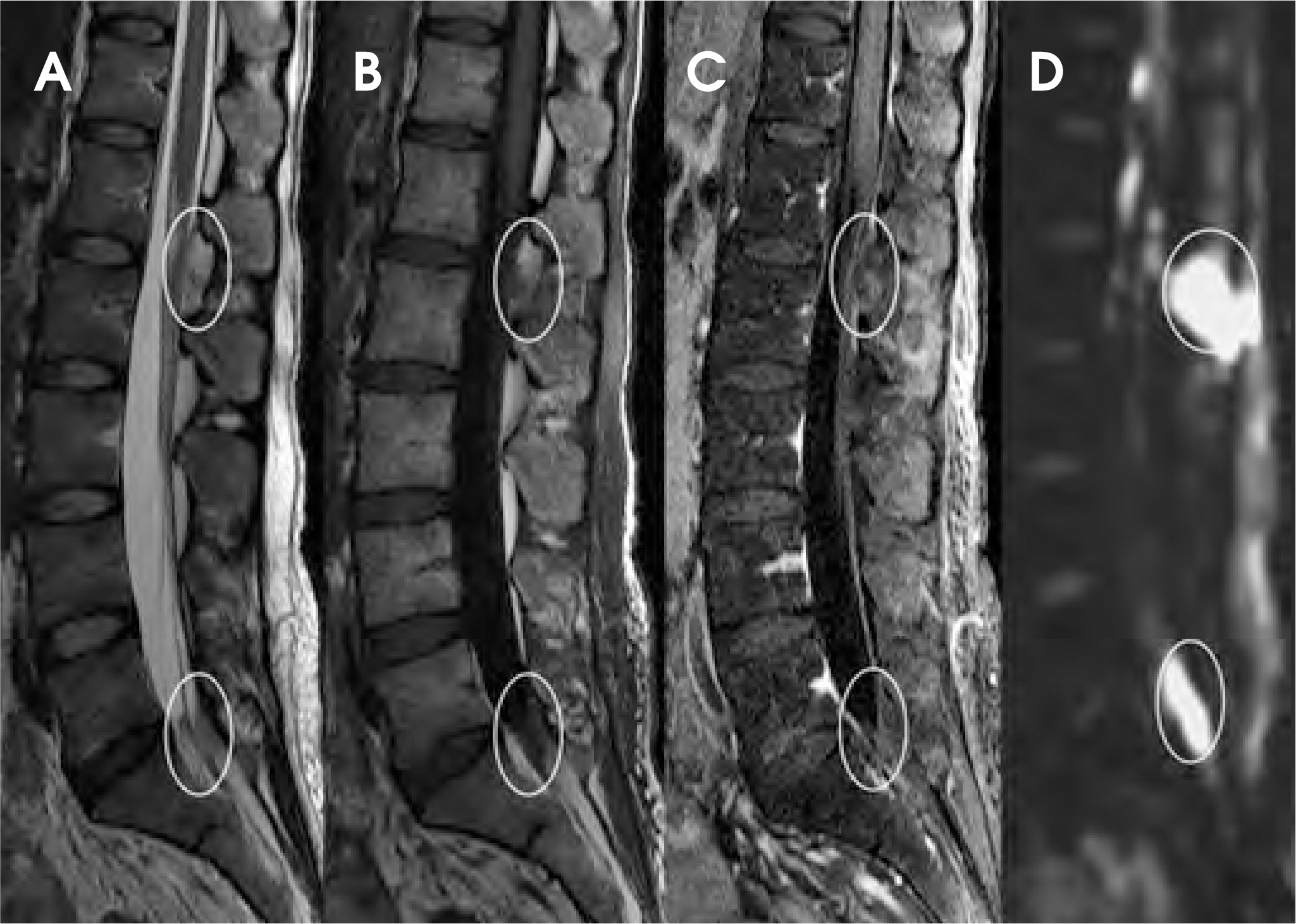 FIGURE 18.