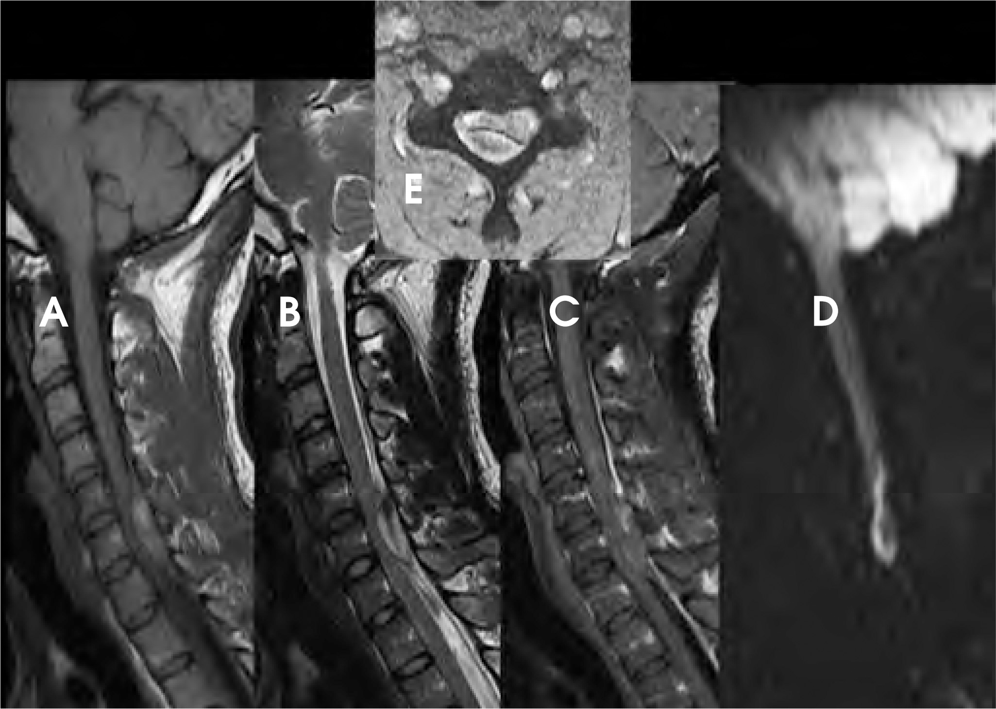 FIGURE 19.