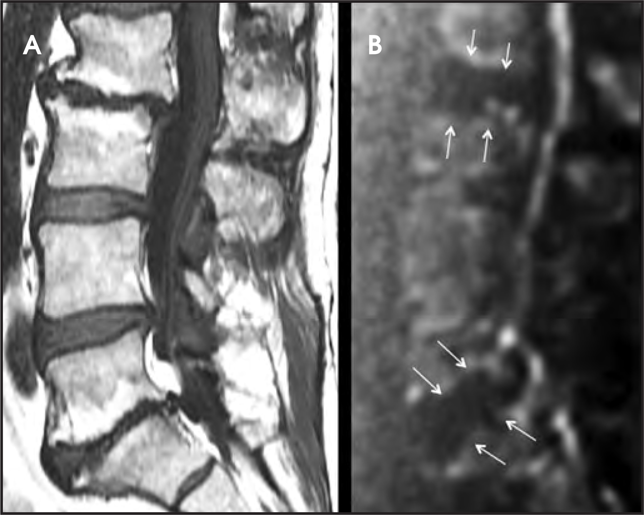 FIGURE 20.