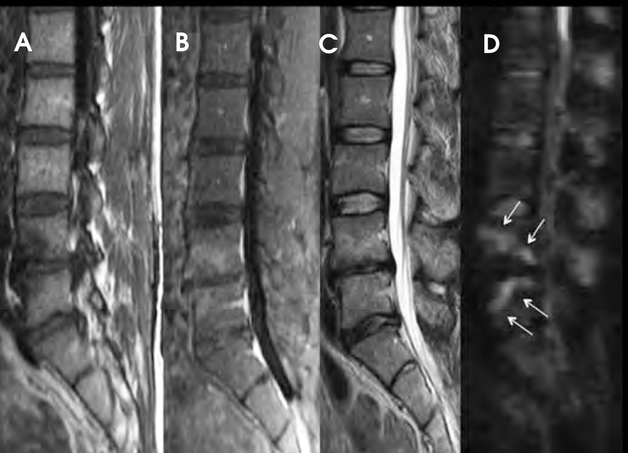 FIGURE 21.
