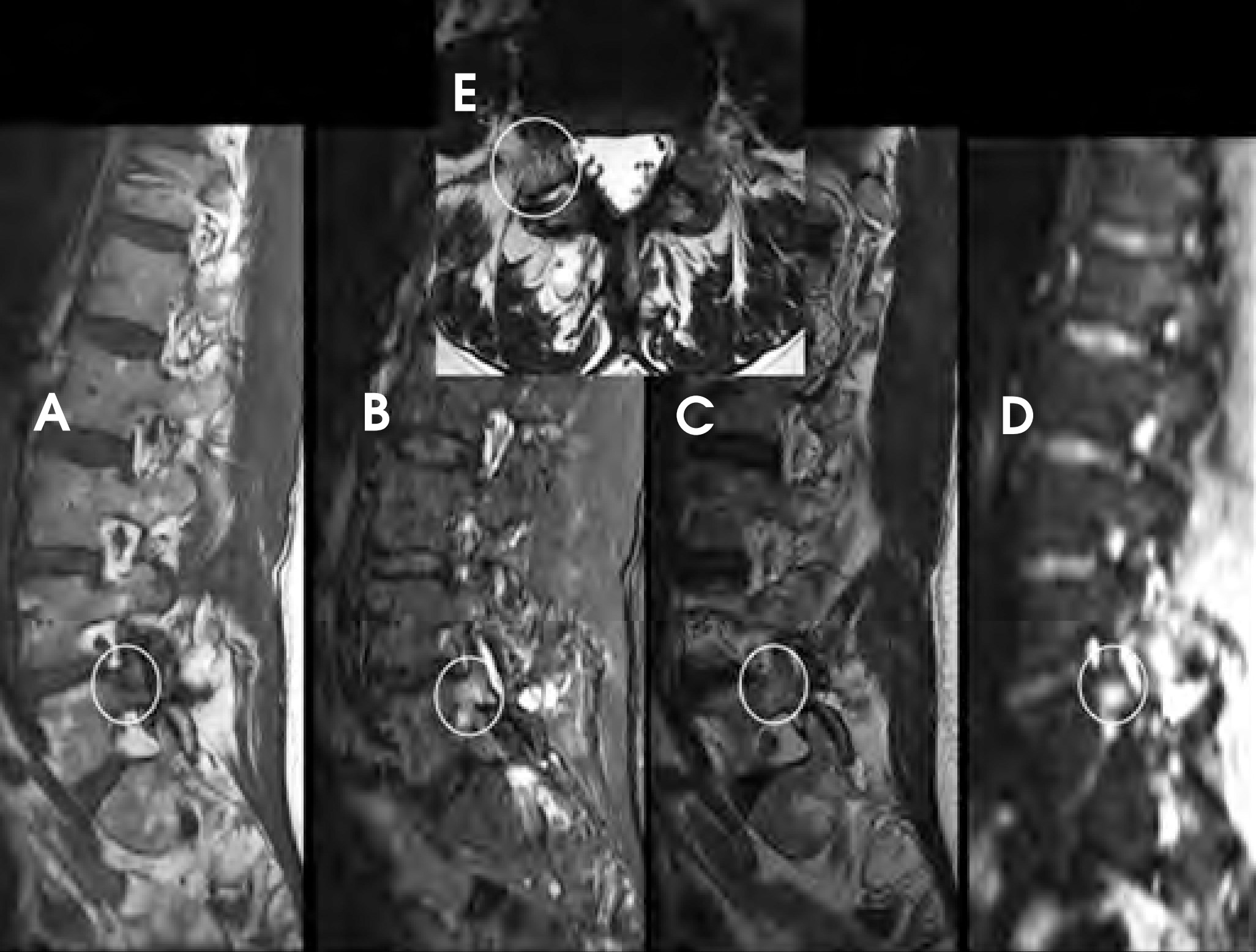 FIGURE 22.