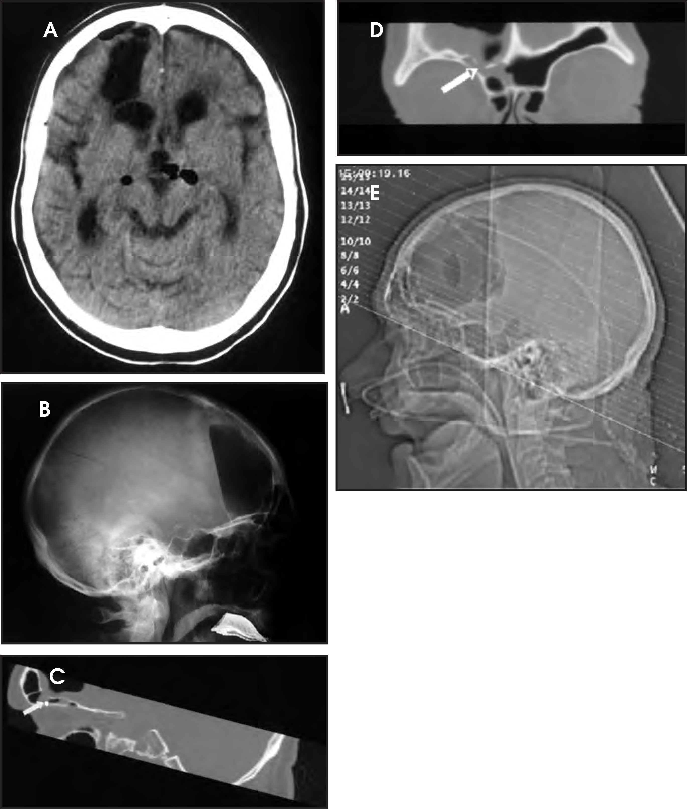 FIGURE 1.