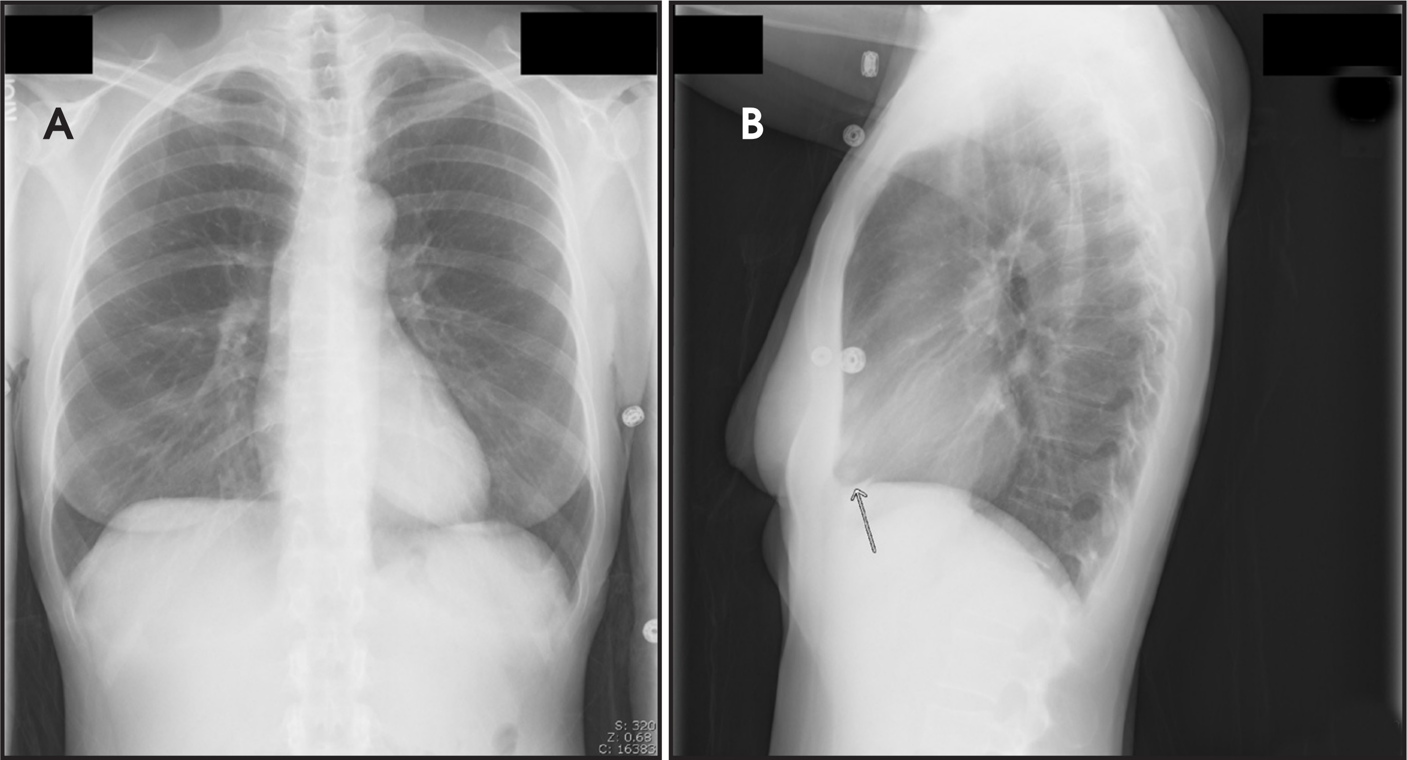 FIGURE 1.