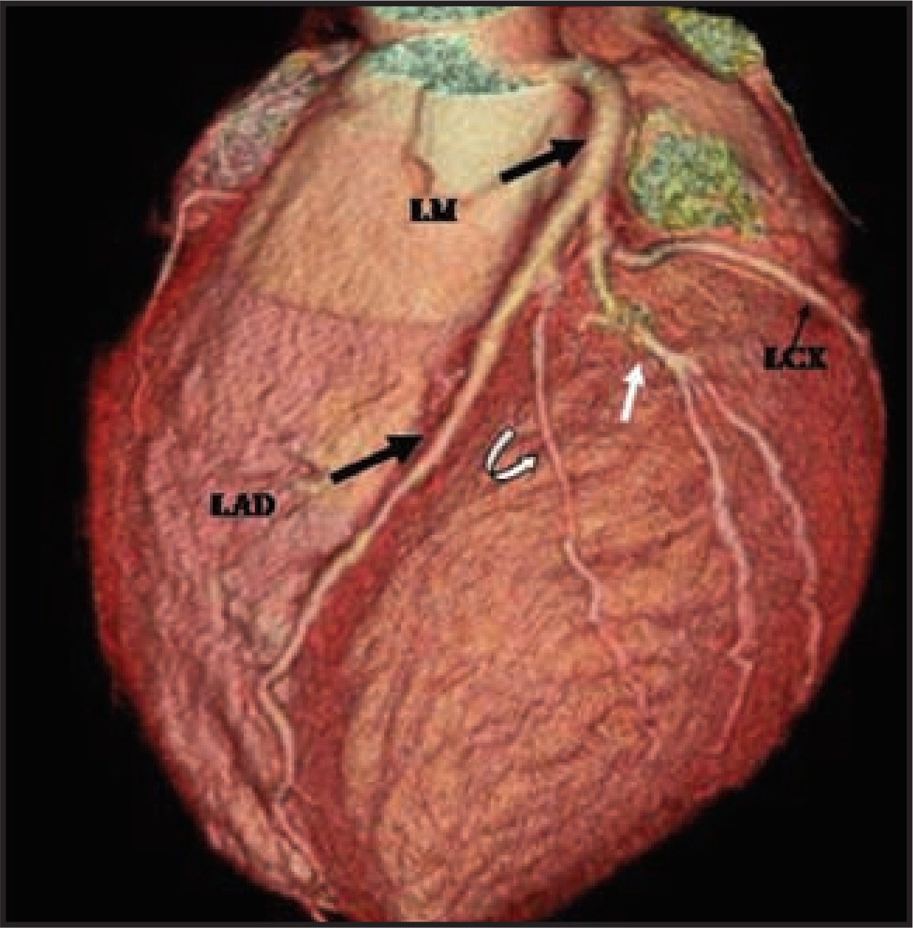 FIGURE 1.