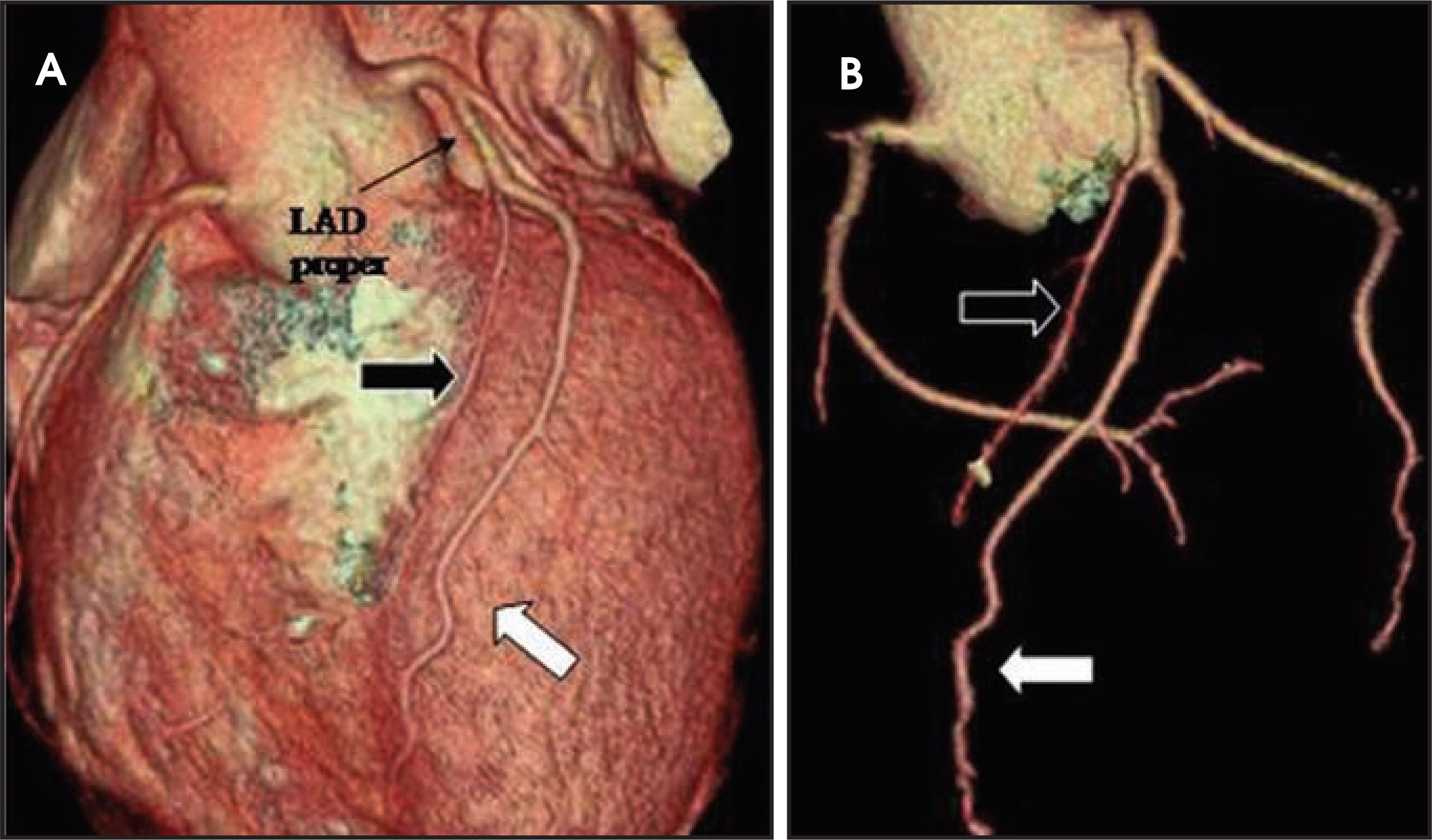 FIGURE 13.