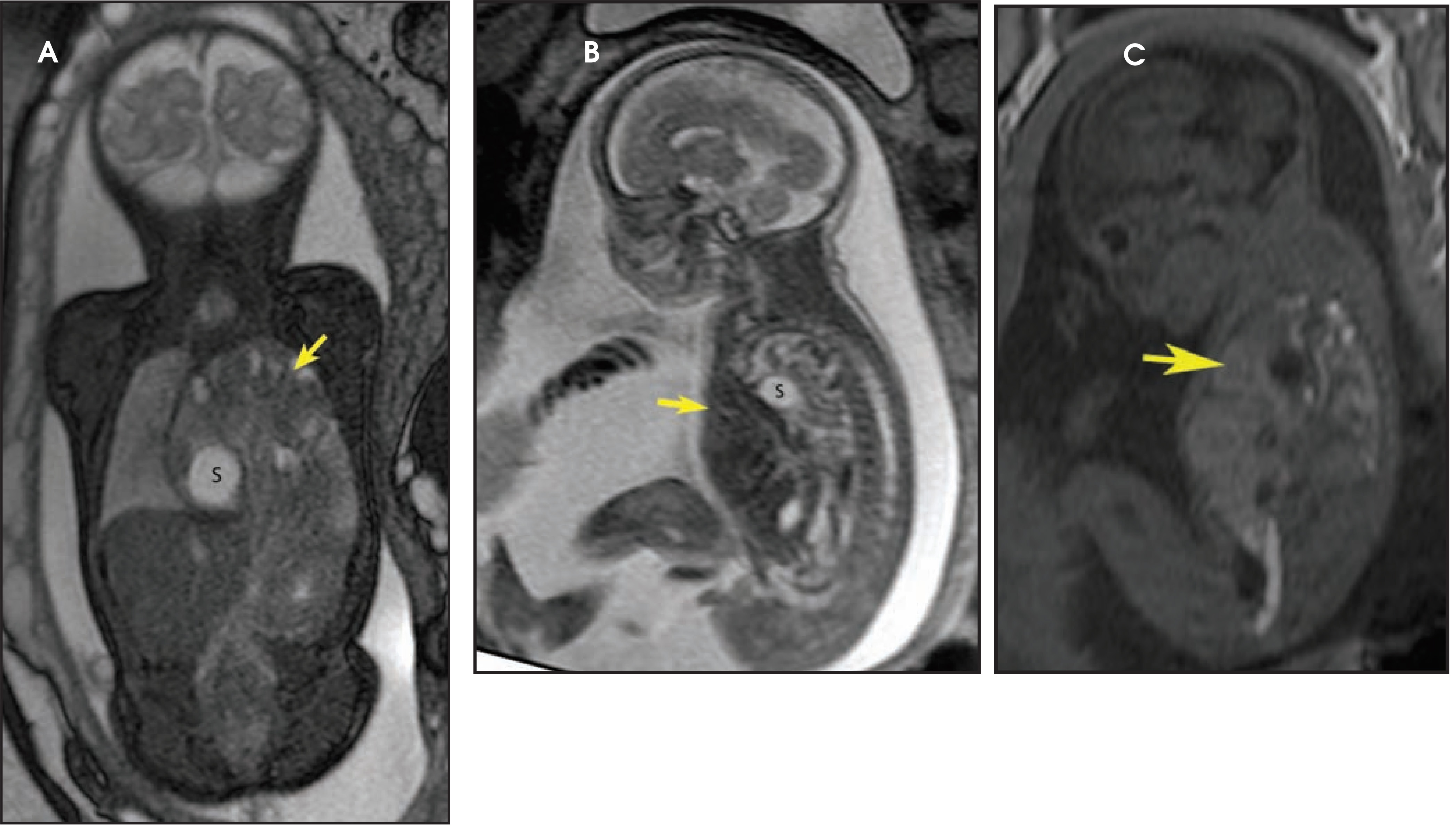 FIGURE 10.