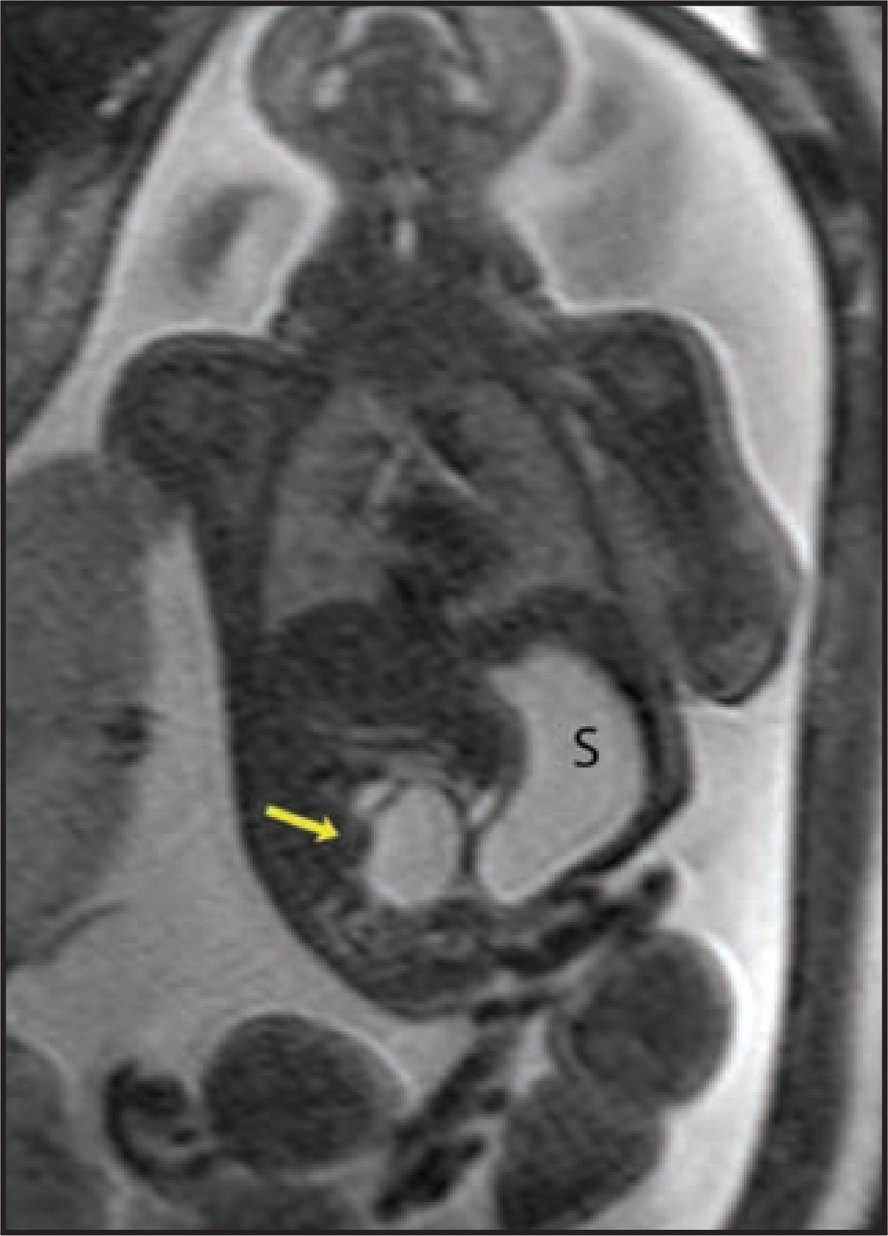 FIGURE 12.