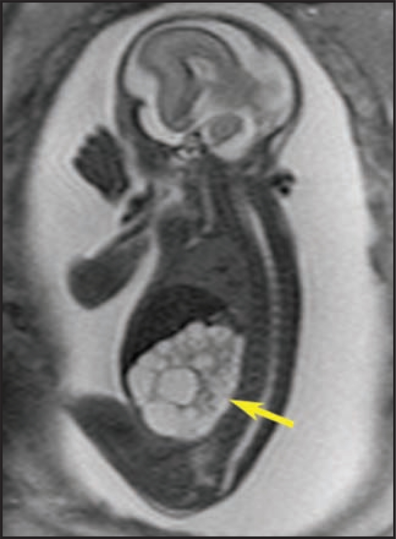 FIGURE 15.