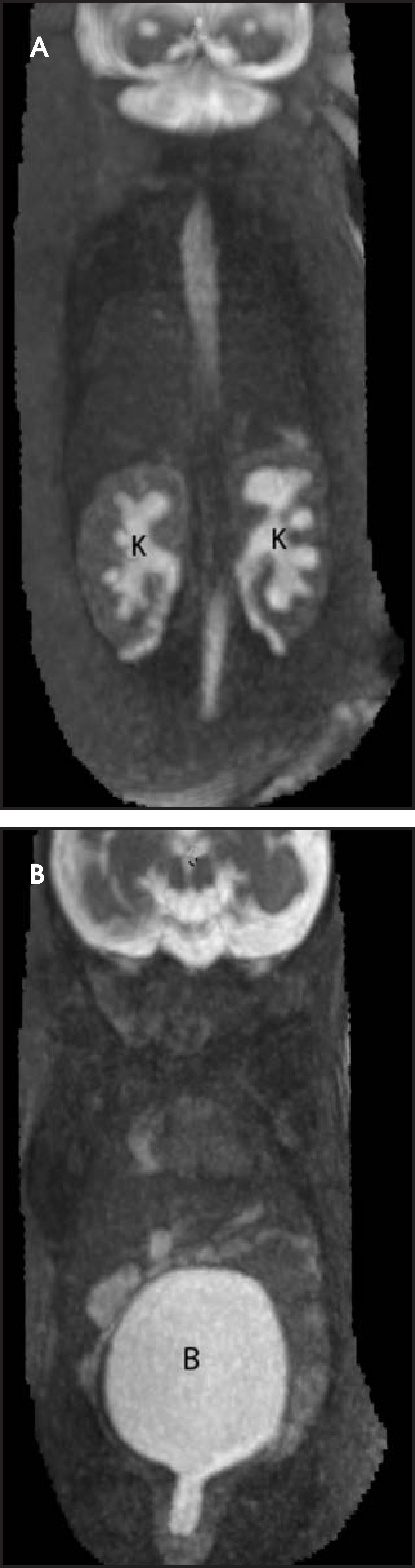 FIGURE 17.