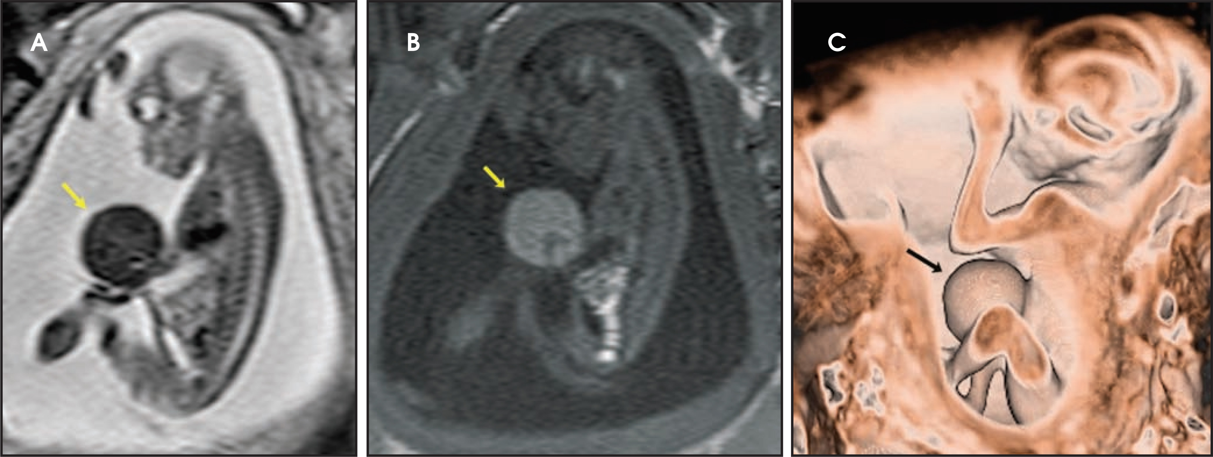 FIGURE 18.