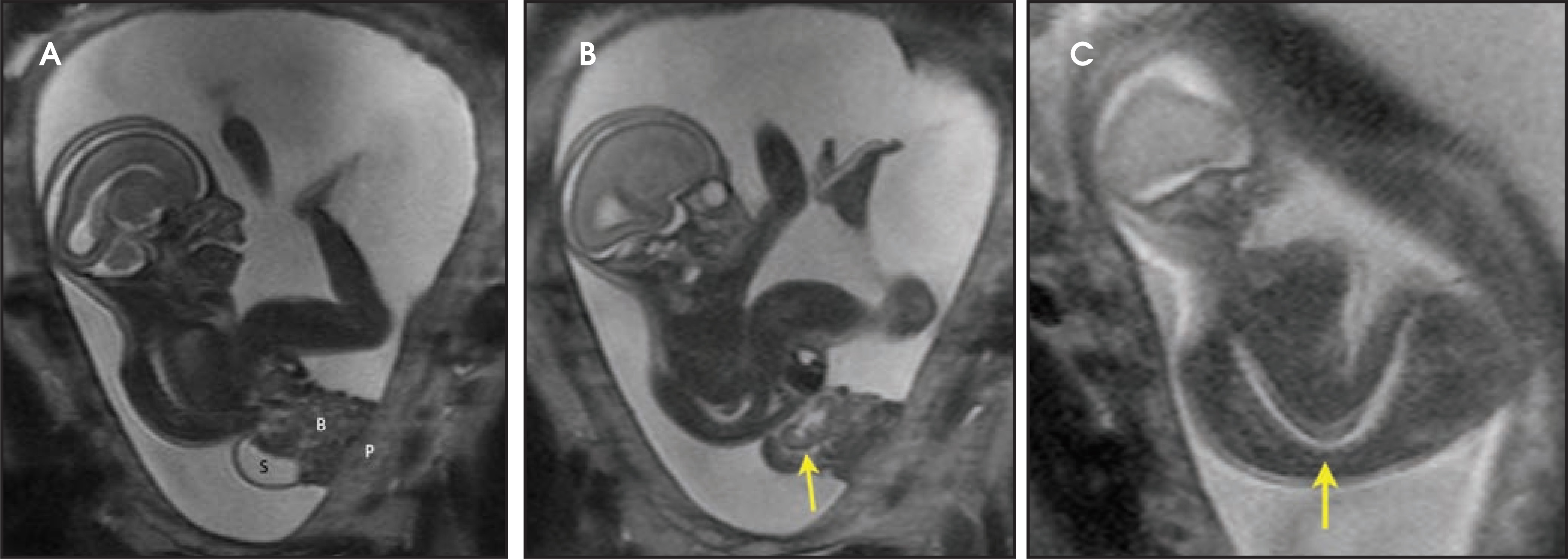 FIGURE 19.