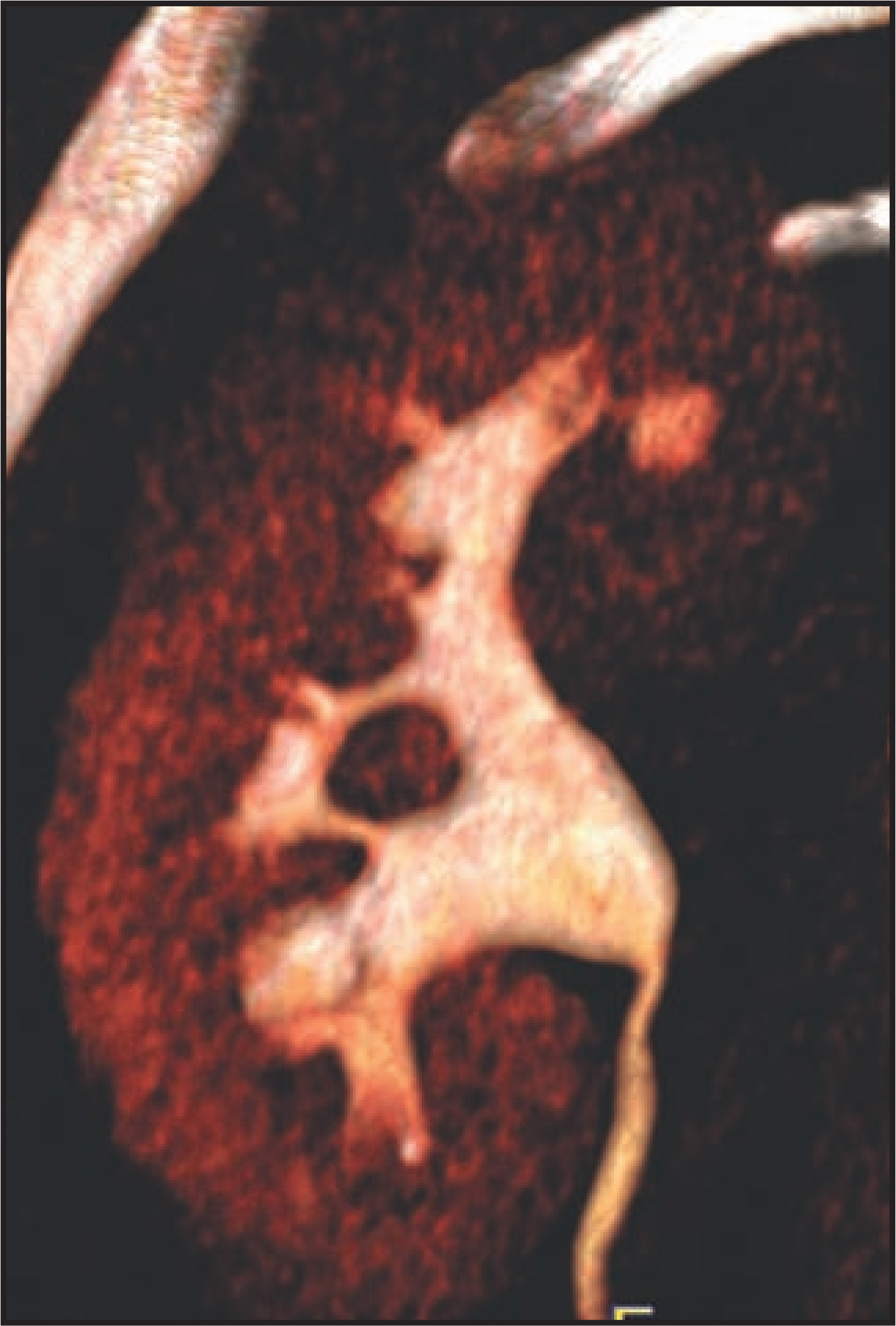FIGURE 3.