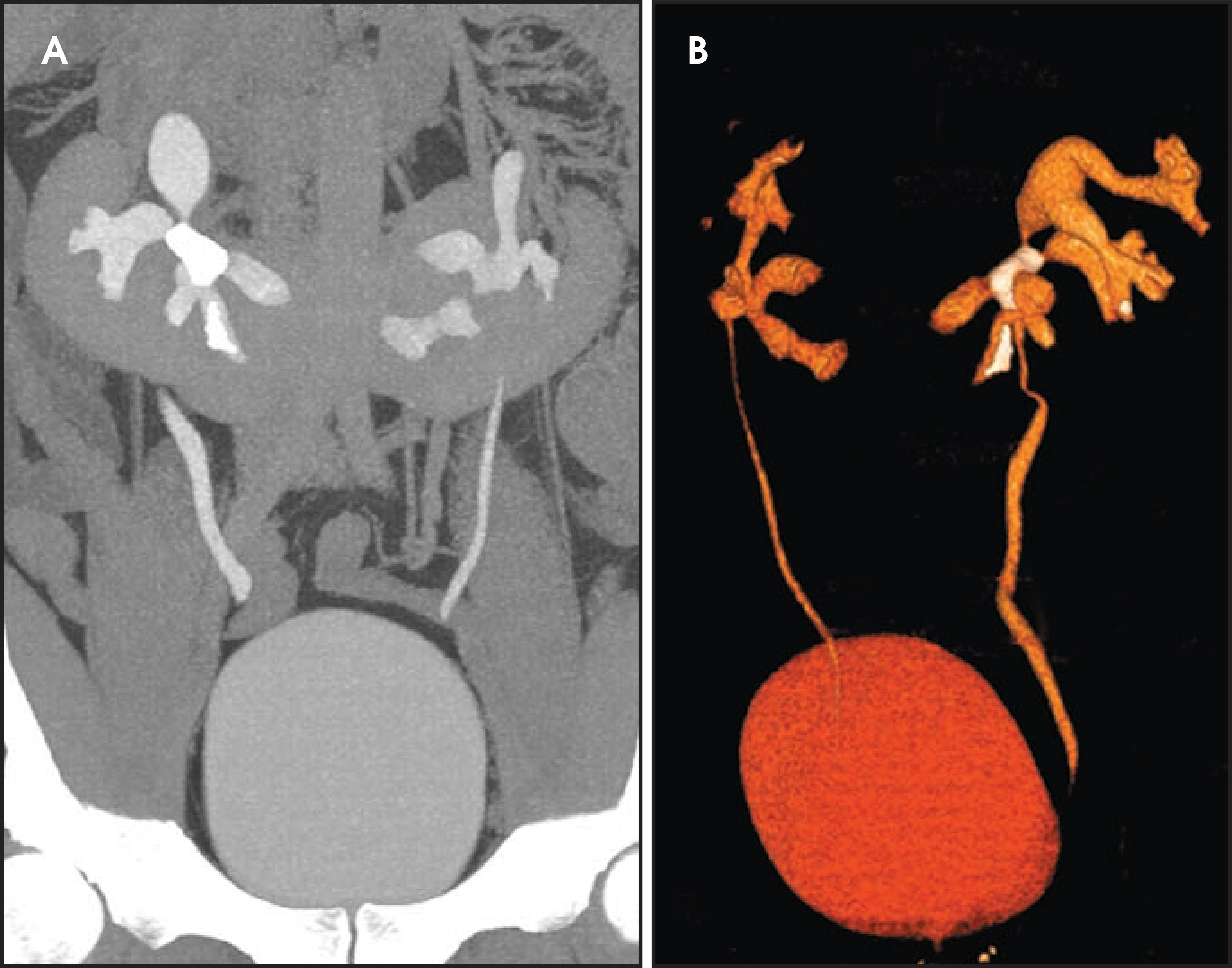 FIGURE 10.