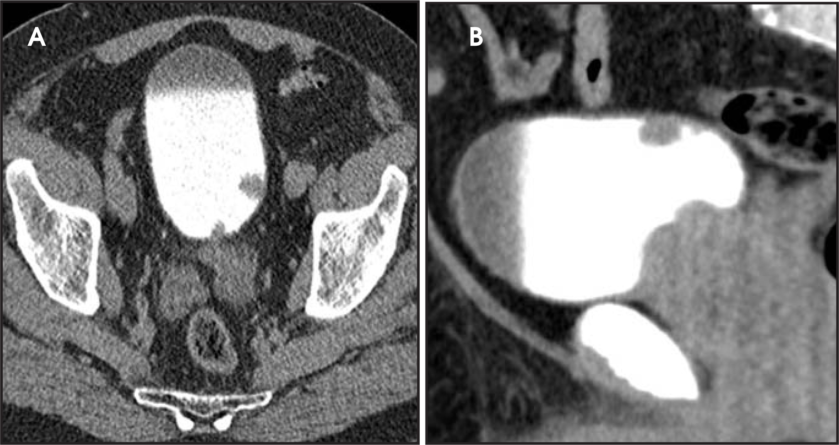 FIGURE 12.