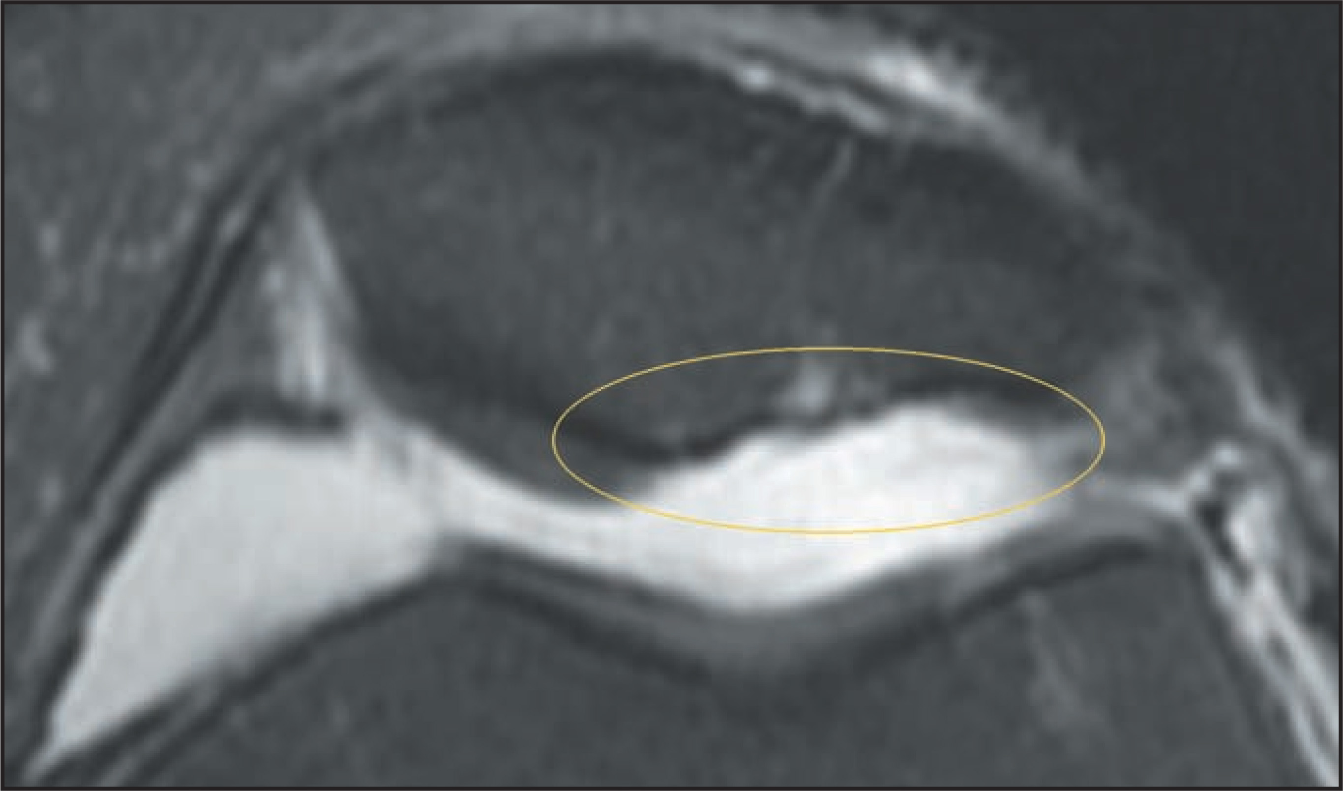 FIGURE 9.