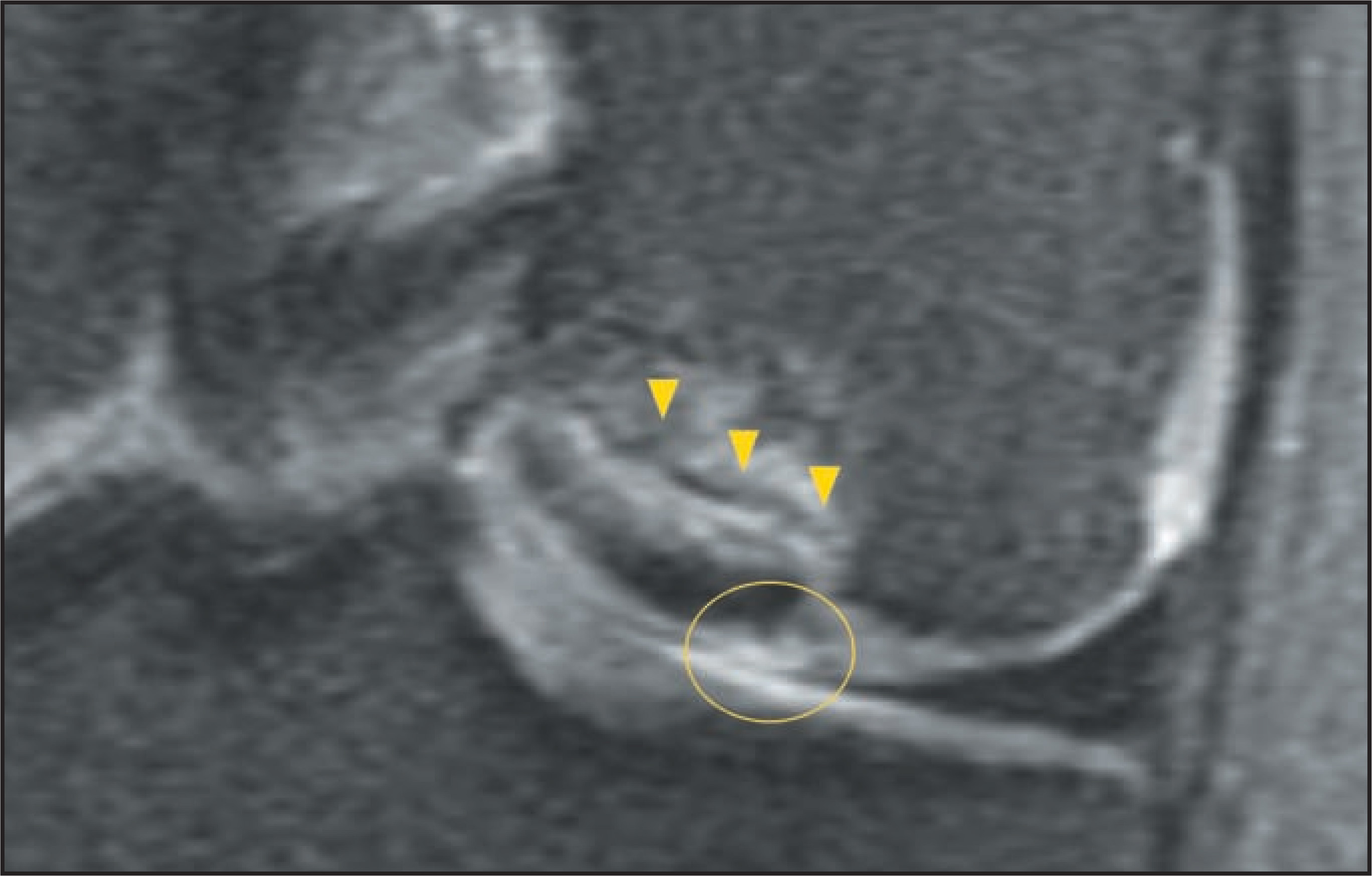 FIGURE 10.