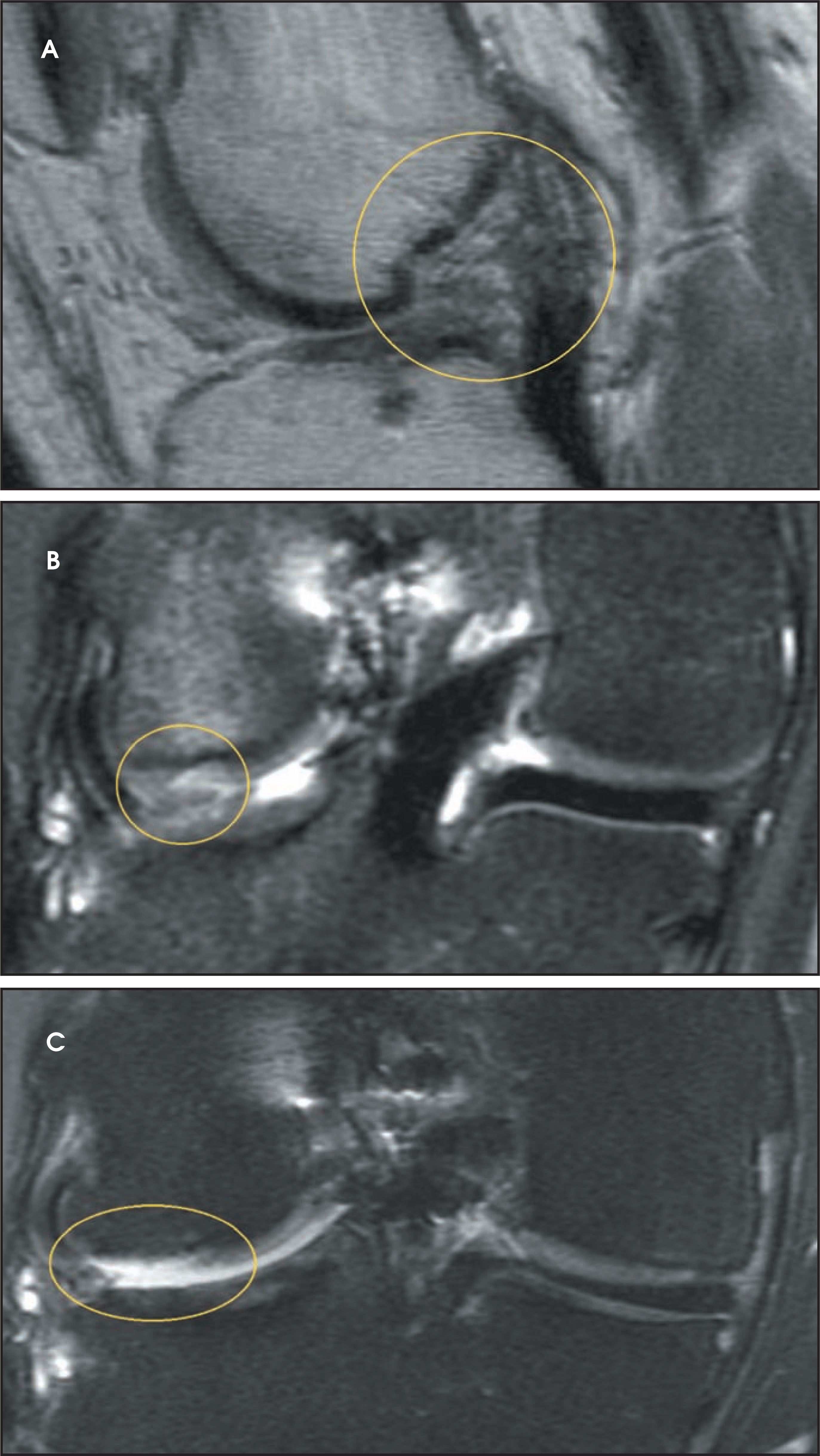 FIGURE 12.