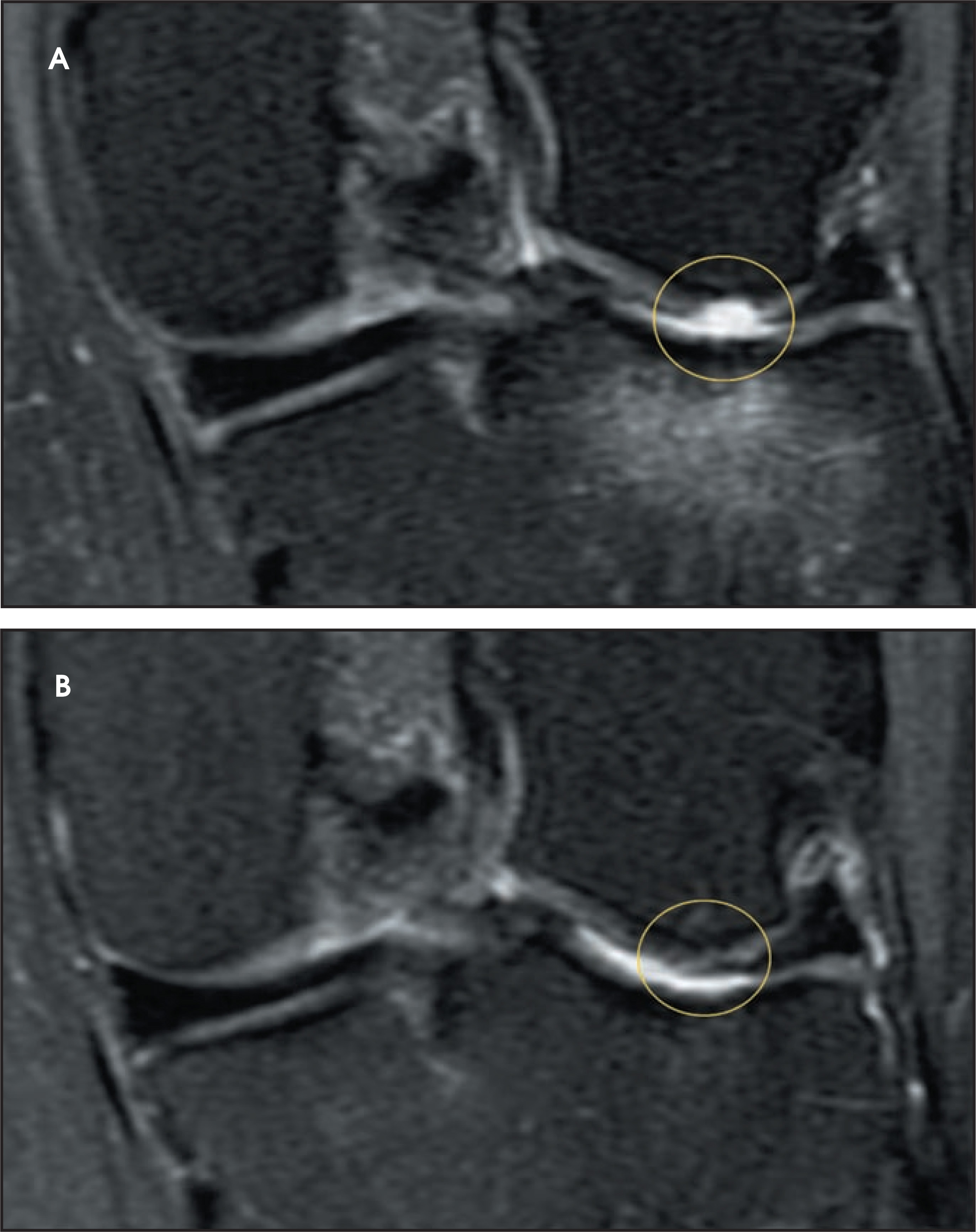 FIGURE 13.
